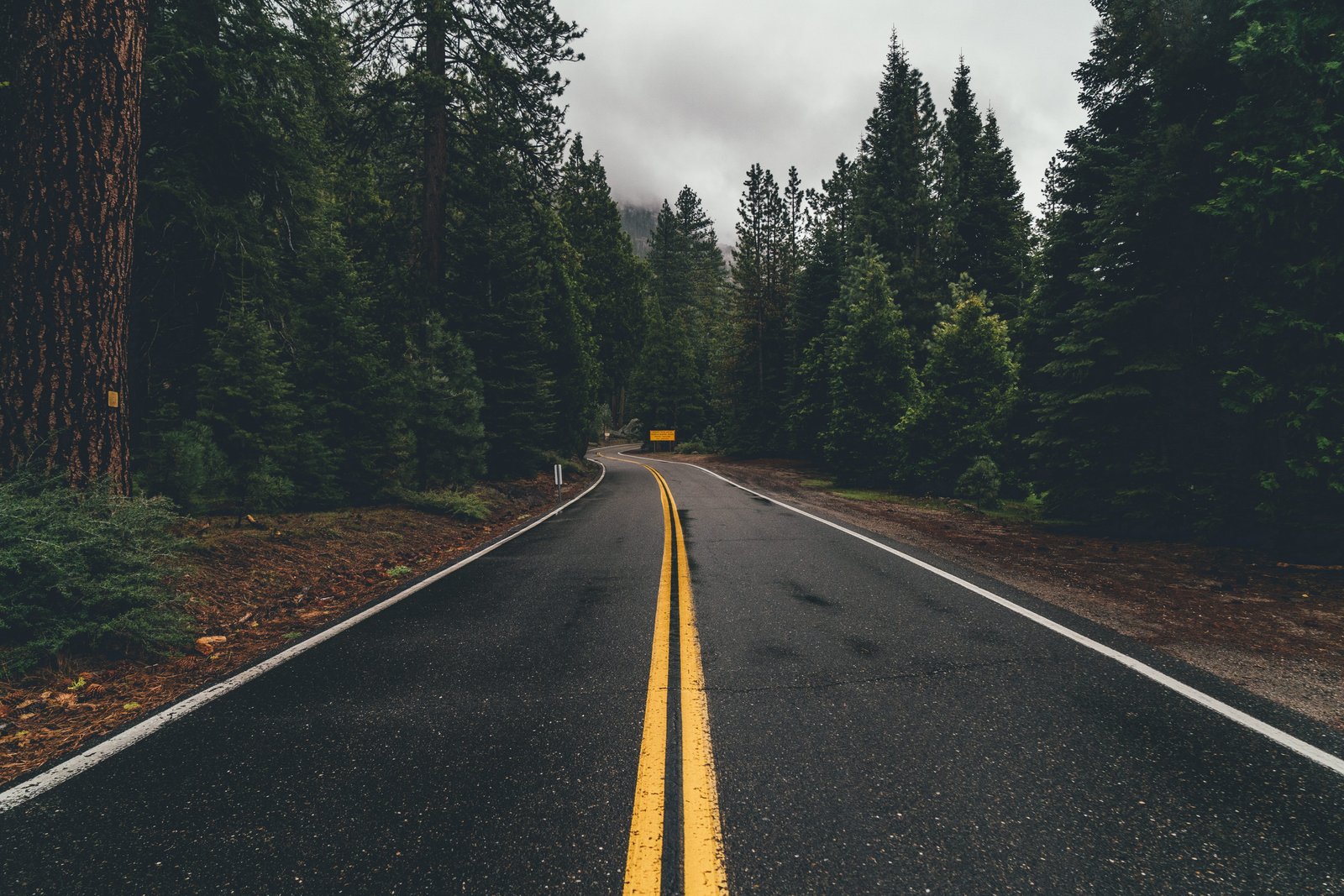 gray asphalt road towards trees way highway tarmac plant 2k 4k 5k