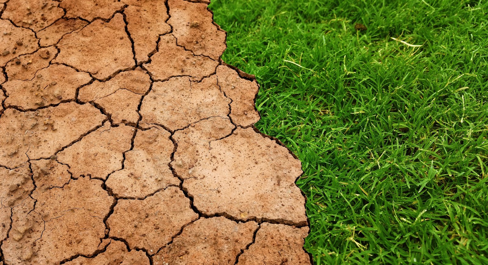 green grass global warming climate change soil drought 2k 4k 5k