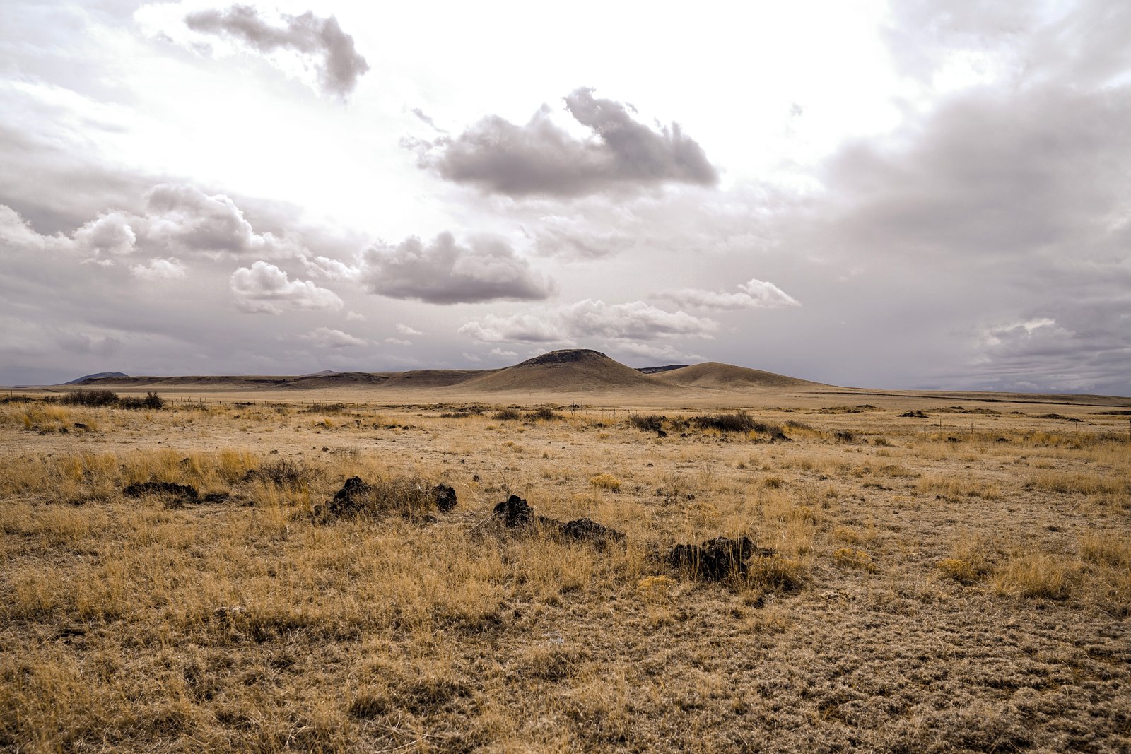 outdoors nature field grassland savanna ground landscape 2k 4k 5k