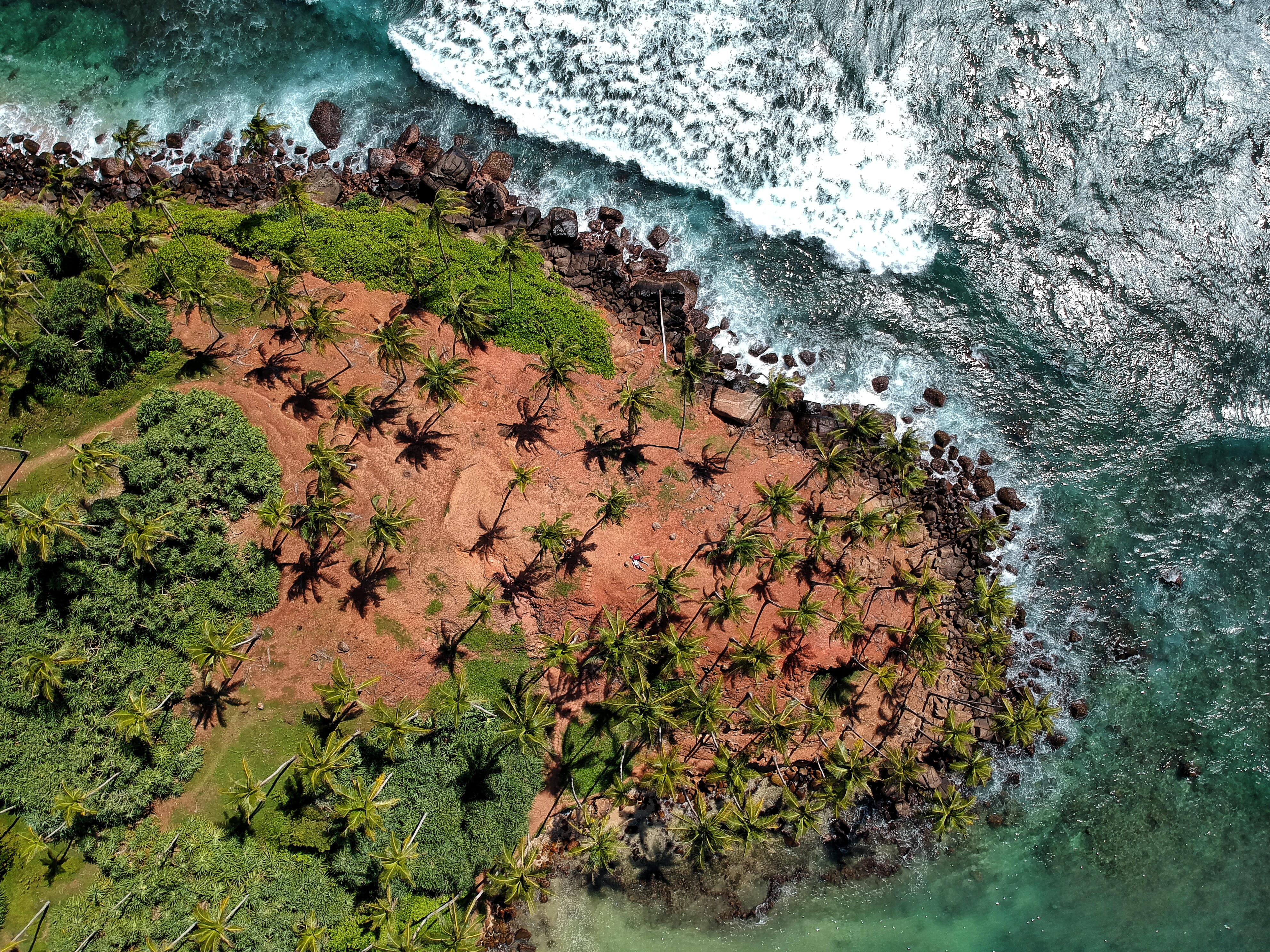 sri lanka mirissa beach waves rocks palms lovers 2k 4k