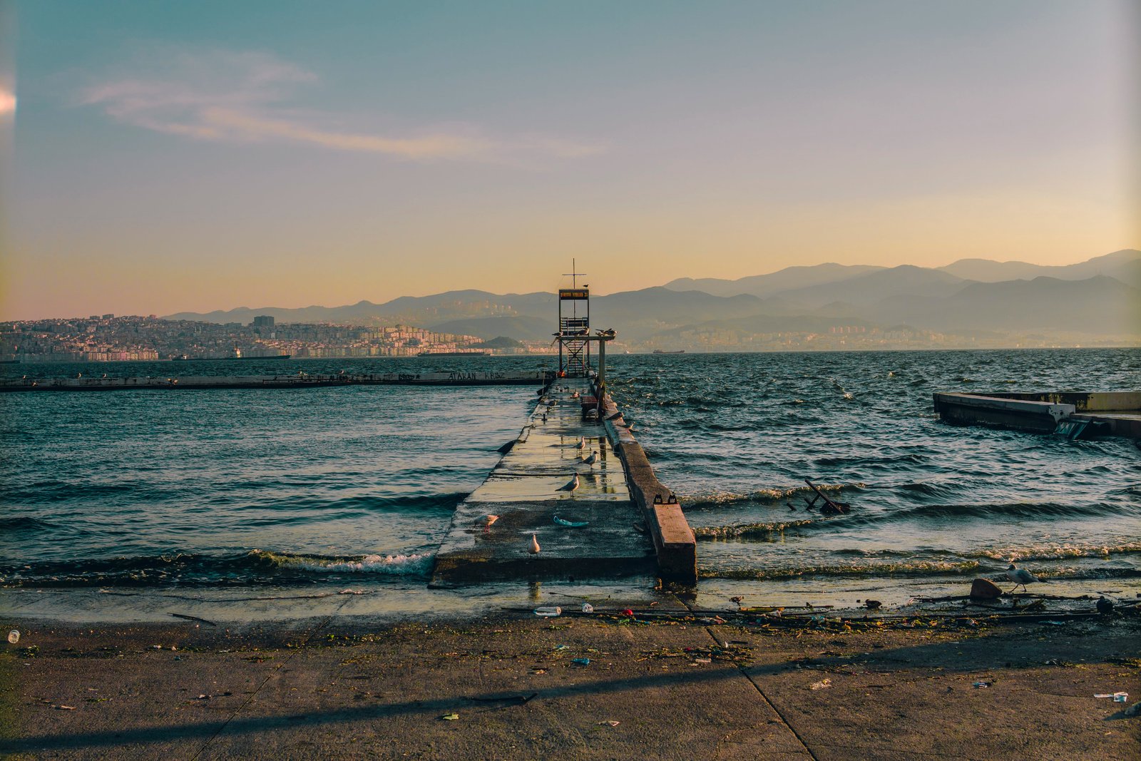 turkey izmir birds trend beach sunrise sunset life vibes 2k 4k 5k