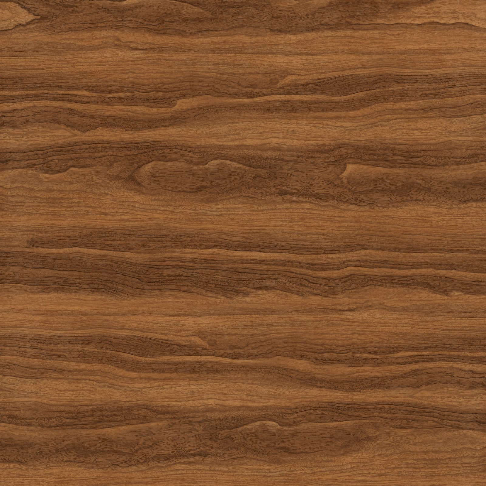 untitled Trees Wood Yellow Oak yellow wood sandalwood teak 2k 4k