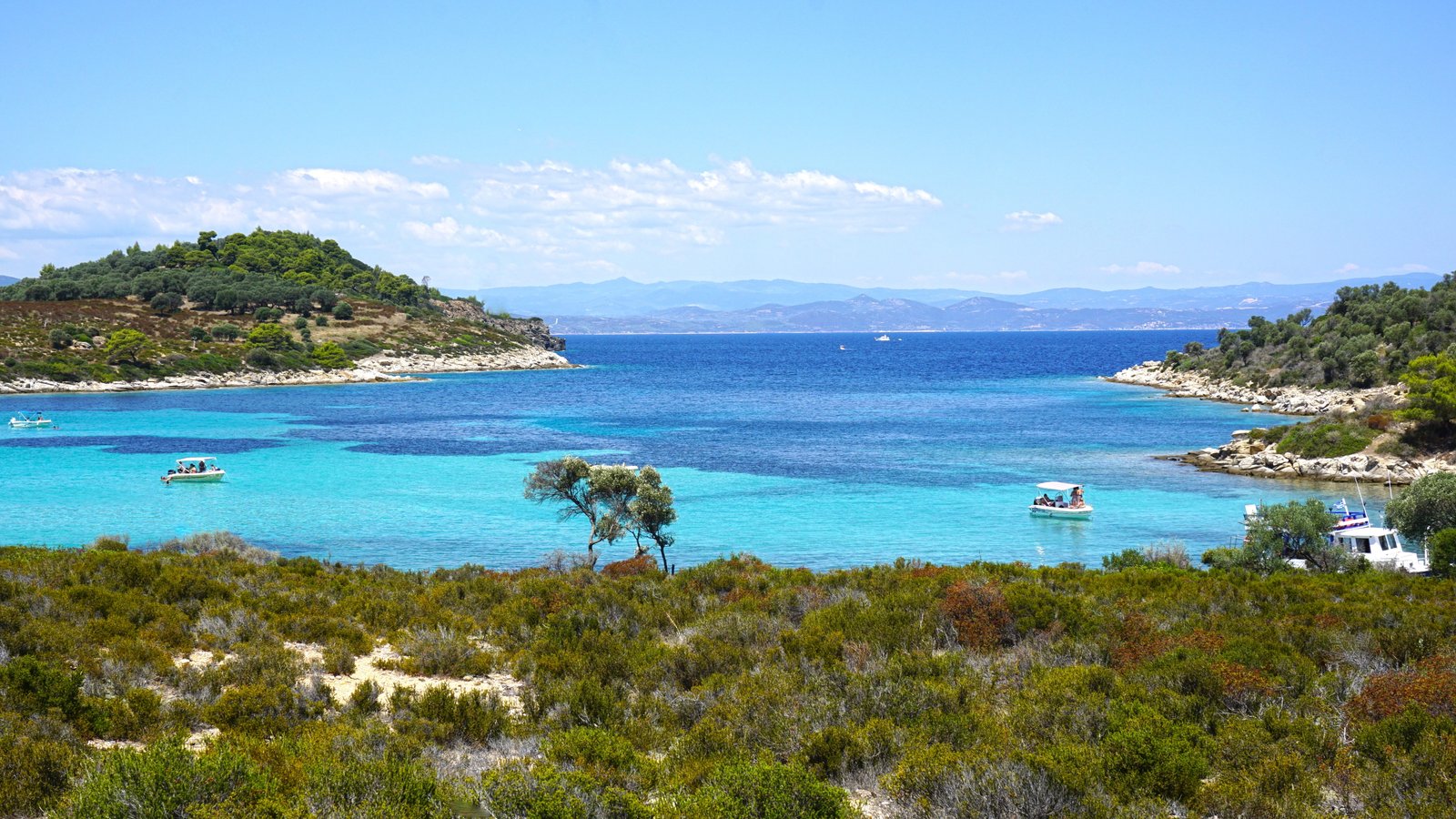 island with green trees next to sea water seashore beach travel 2k 4k 5k