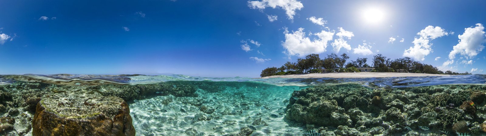 Lady Elliot Island dual monitor widescreen wide screen multiple 2k 4k 5k