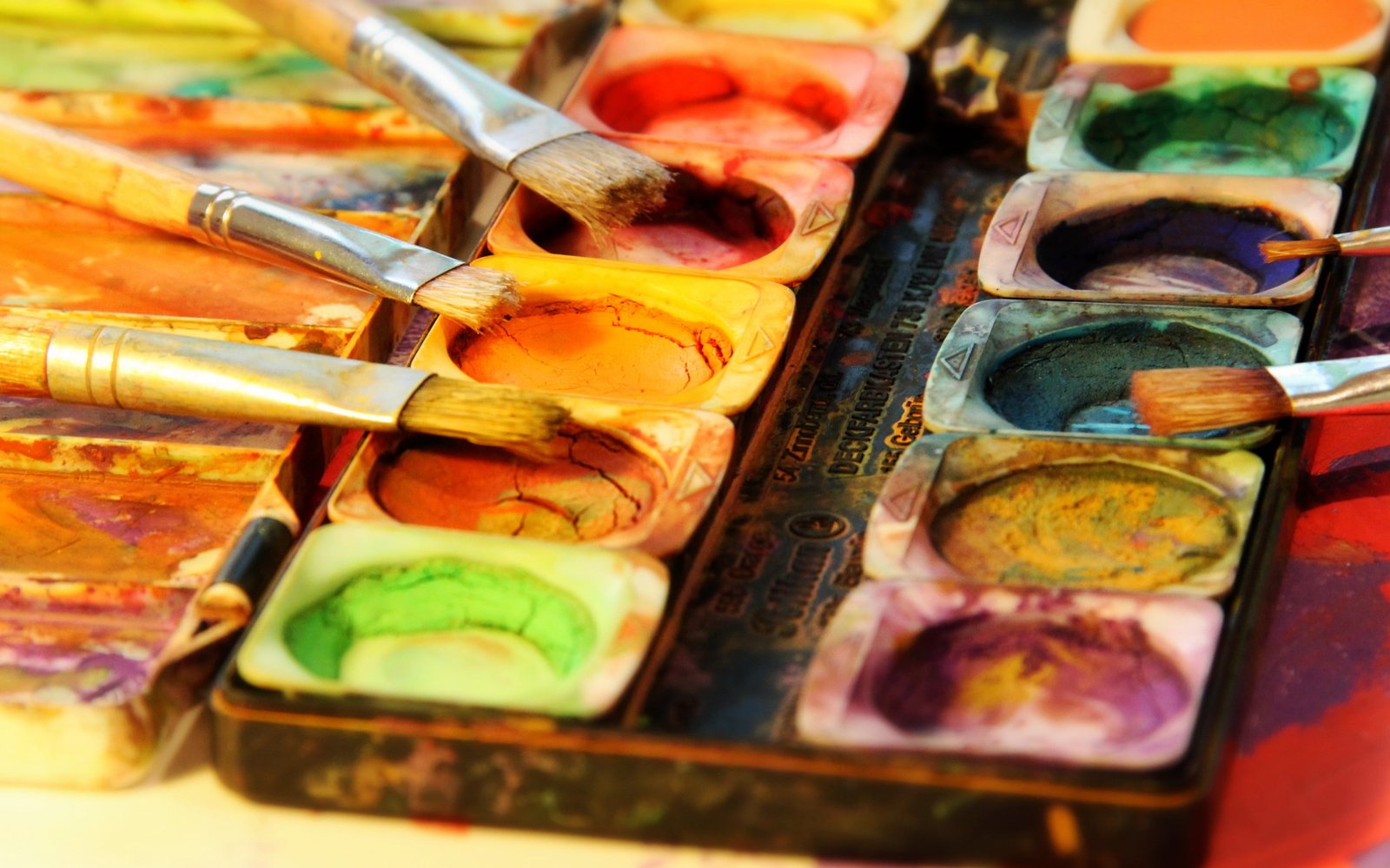 assorted color paint macro brush multi colored choice 2k