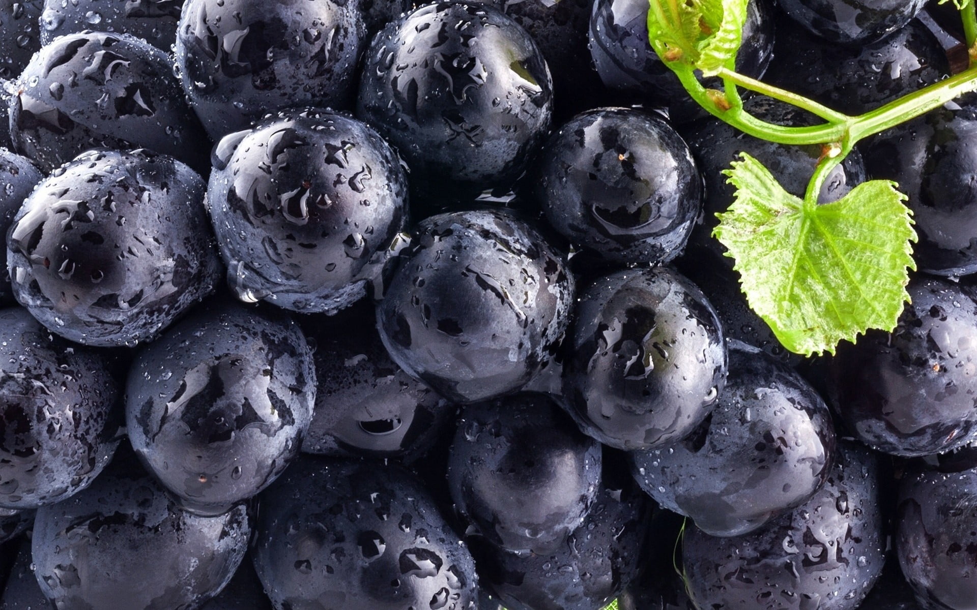 black grapes blueberries food macro fruit water drops freshness 2k