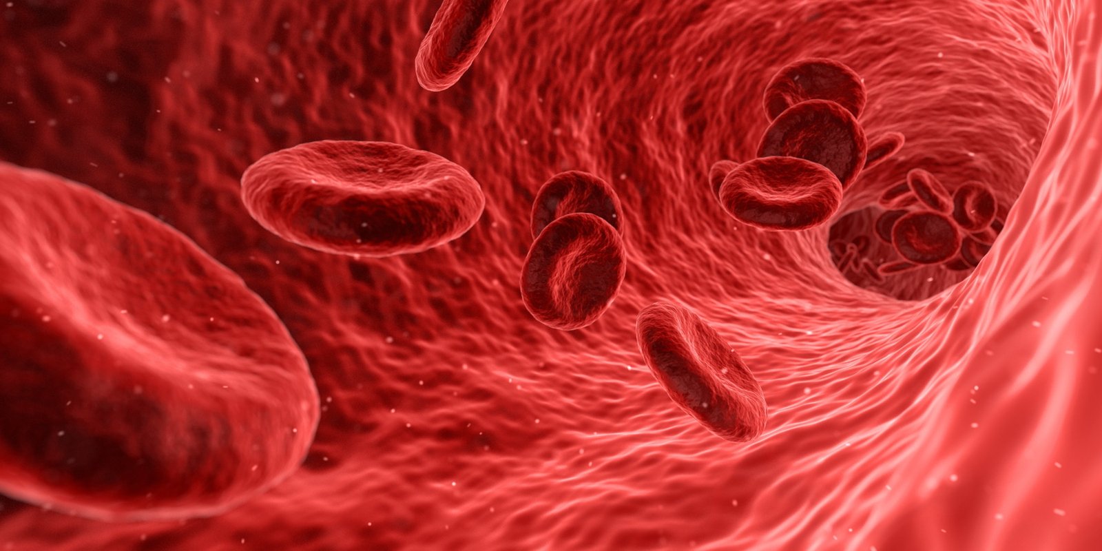 blood cells illustration red medical medicine anatomy health 2k 4k