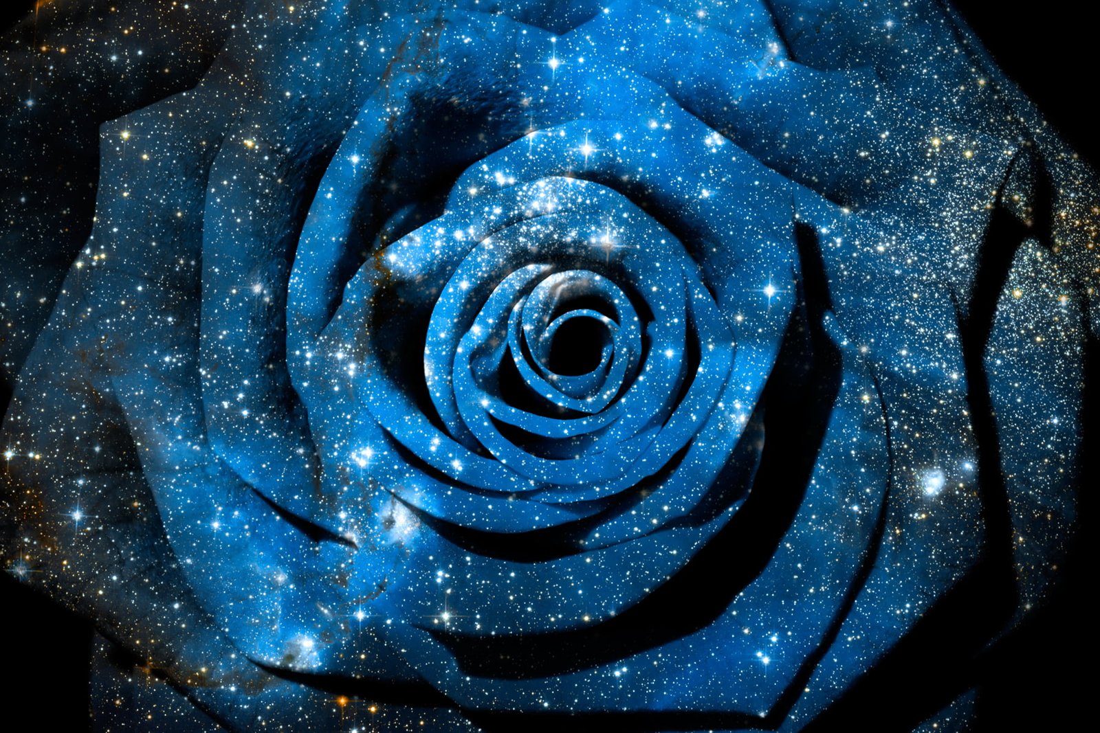 blue and white rose Cosmic NGC galaxy celestial 2k