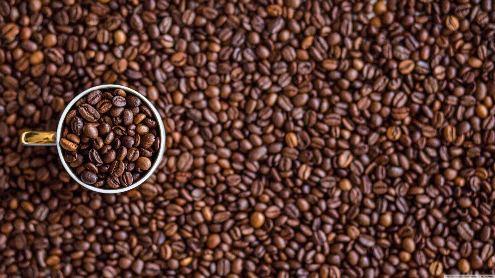bunch of coffee beans macro cup closeup blurred roasted bean 2k 4k