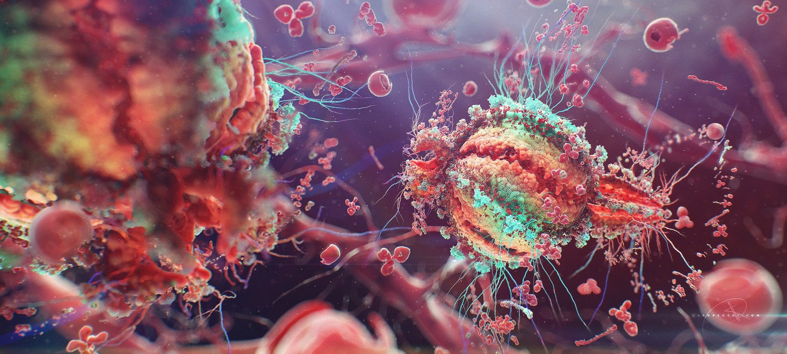 colorful disease HIV cells macro 2k
