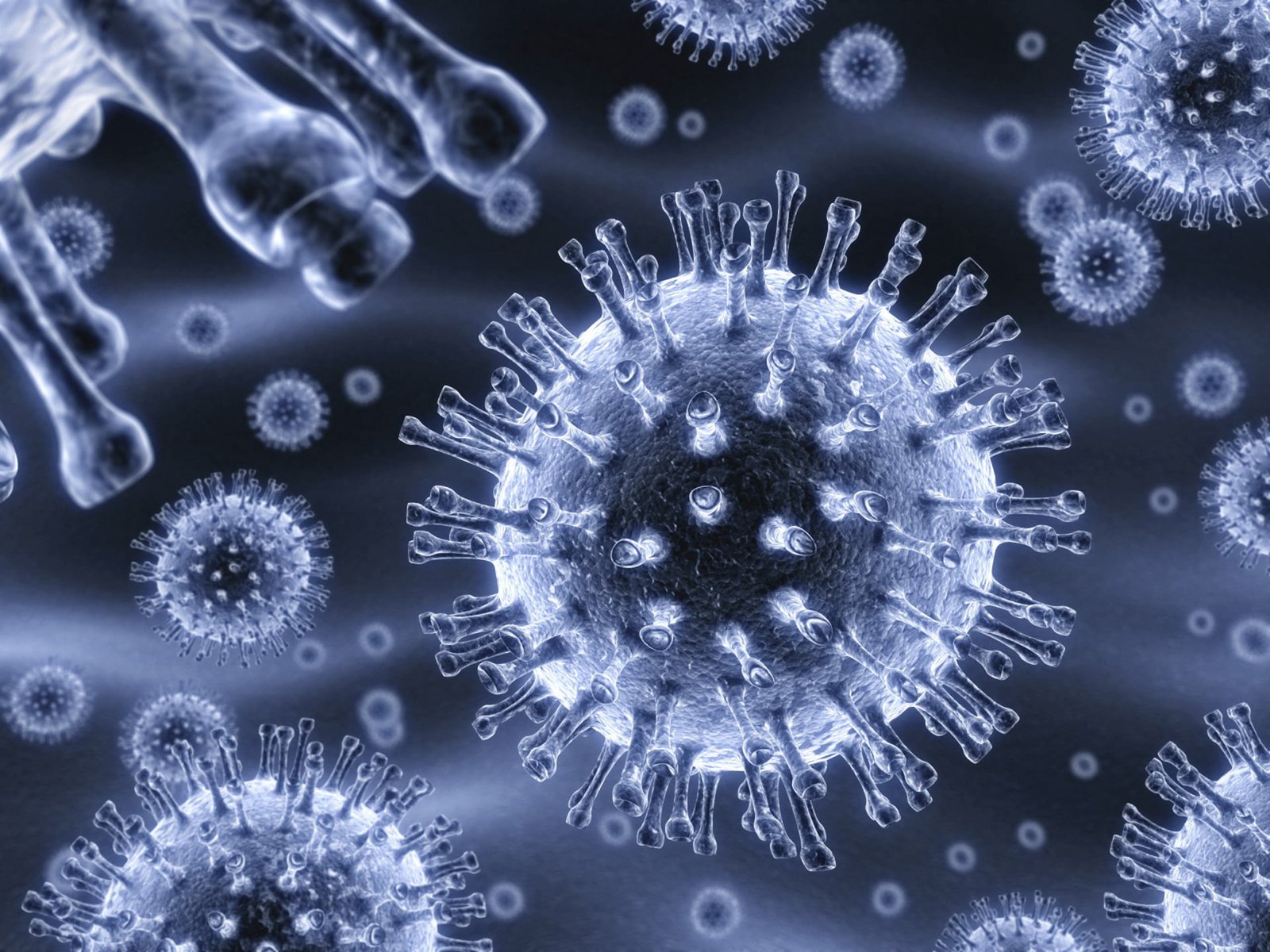 gray cells blue science atom Molecule biology bacterium 2k