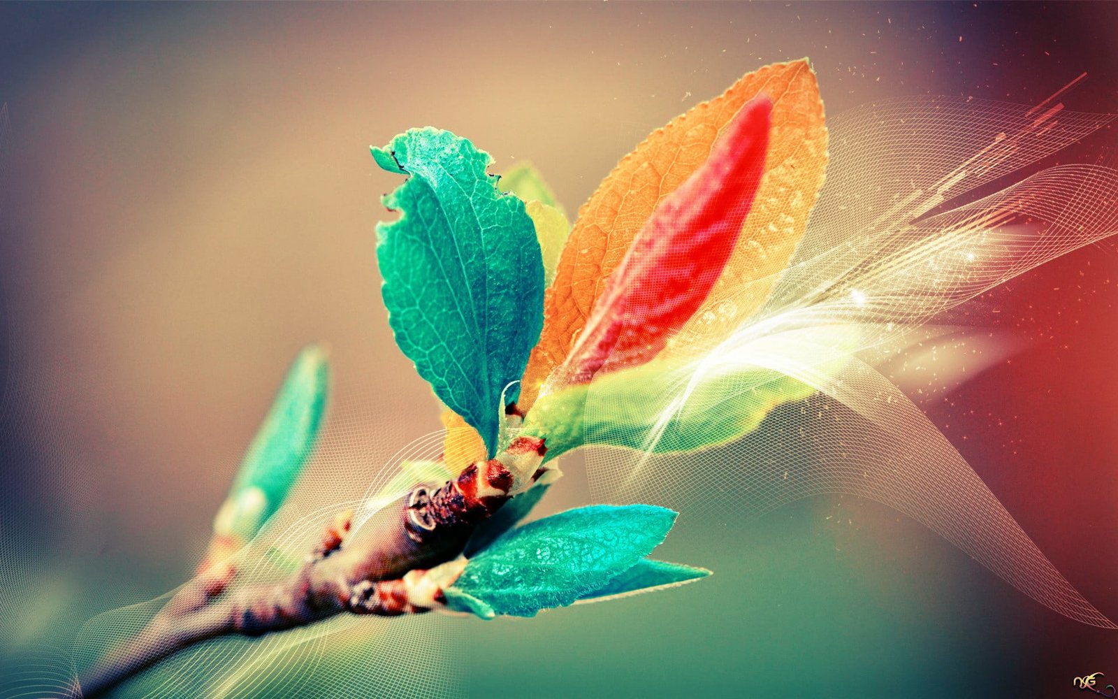 green and yellow leaves brown tree leaf digital wallpaper 2k