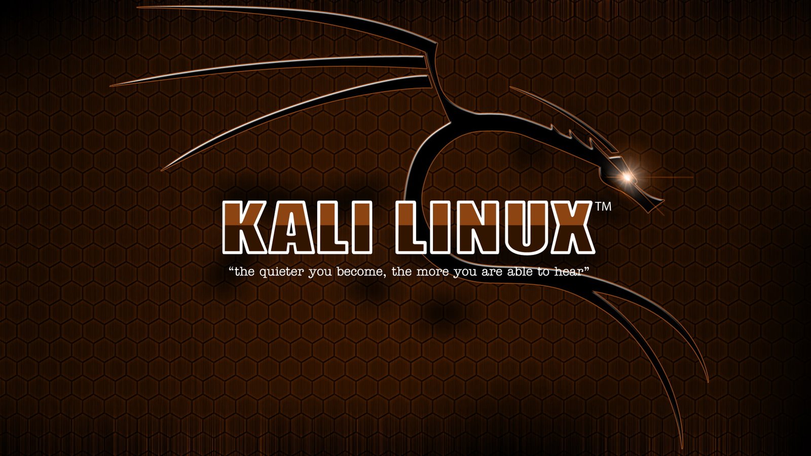 Kali Linux 2k