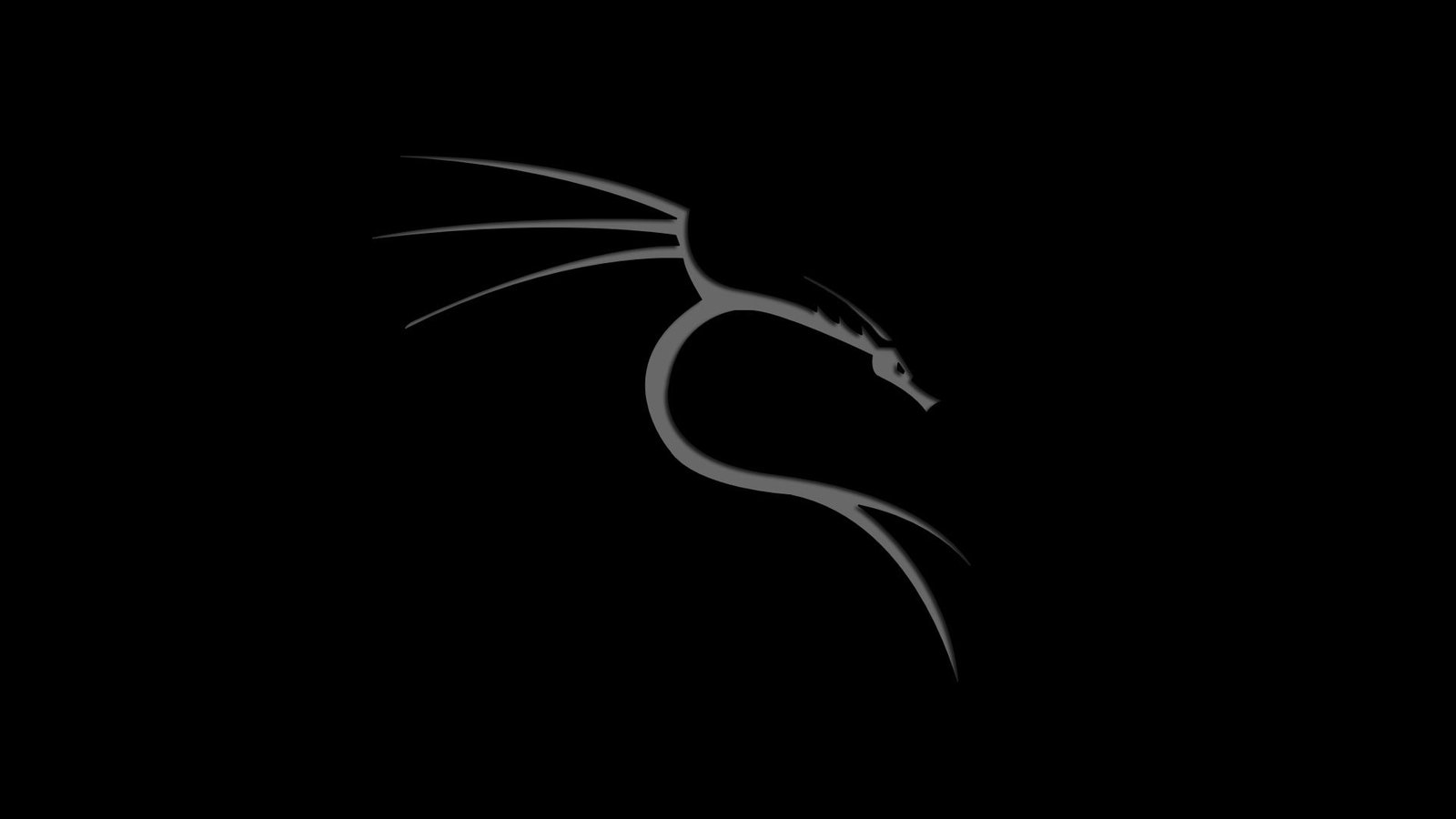 linux kali nethunter photoshop dragon studio shot black background 60 2k