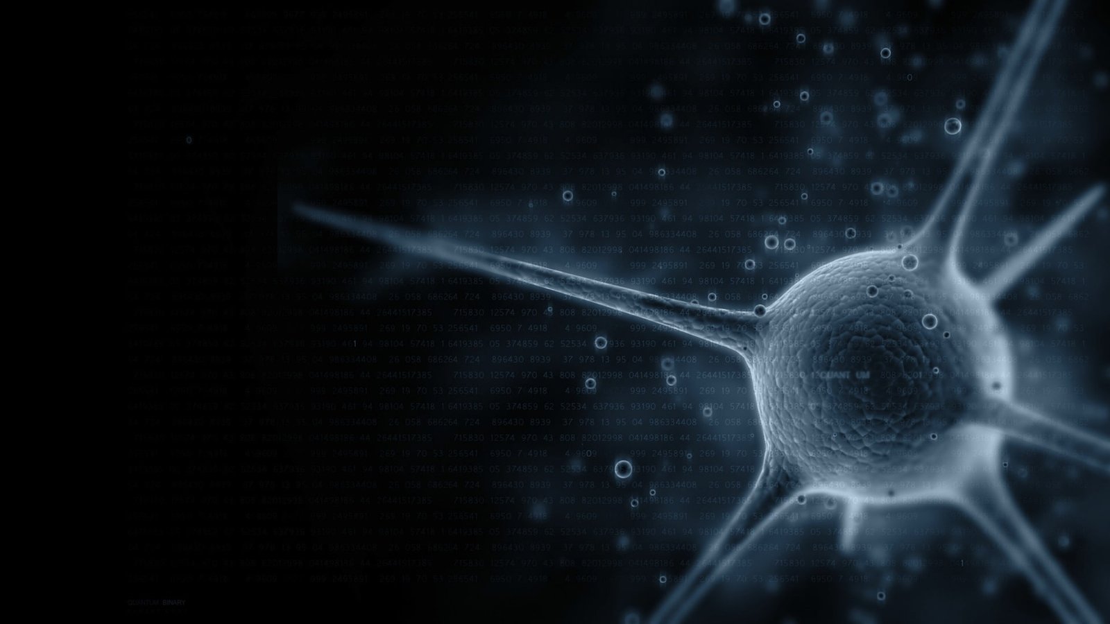 macro of white and black bacteria wallpaper code figures virus 2k