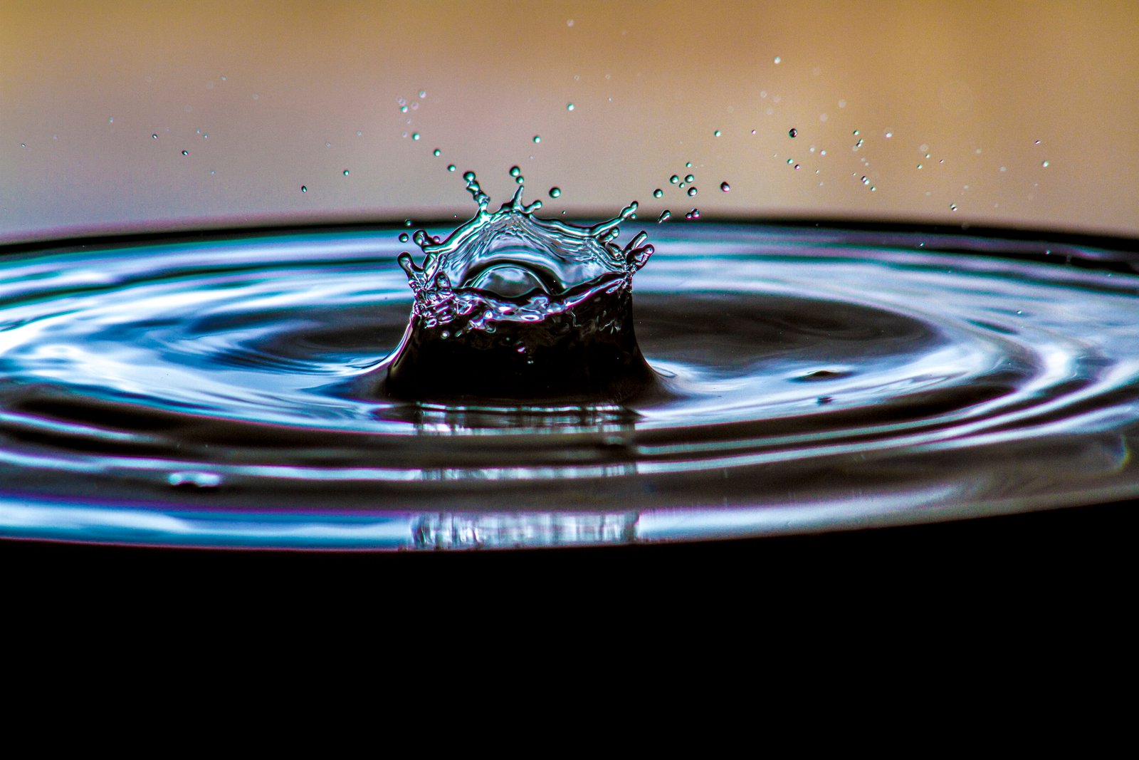 macro photo of water drop Crown Peterborough UK Valentine 2k 4k 5k