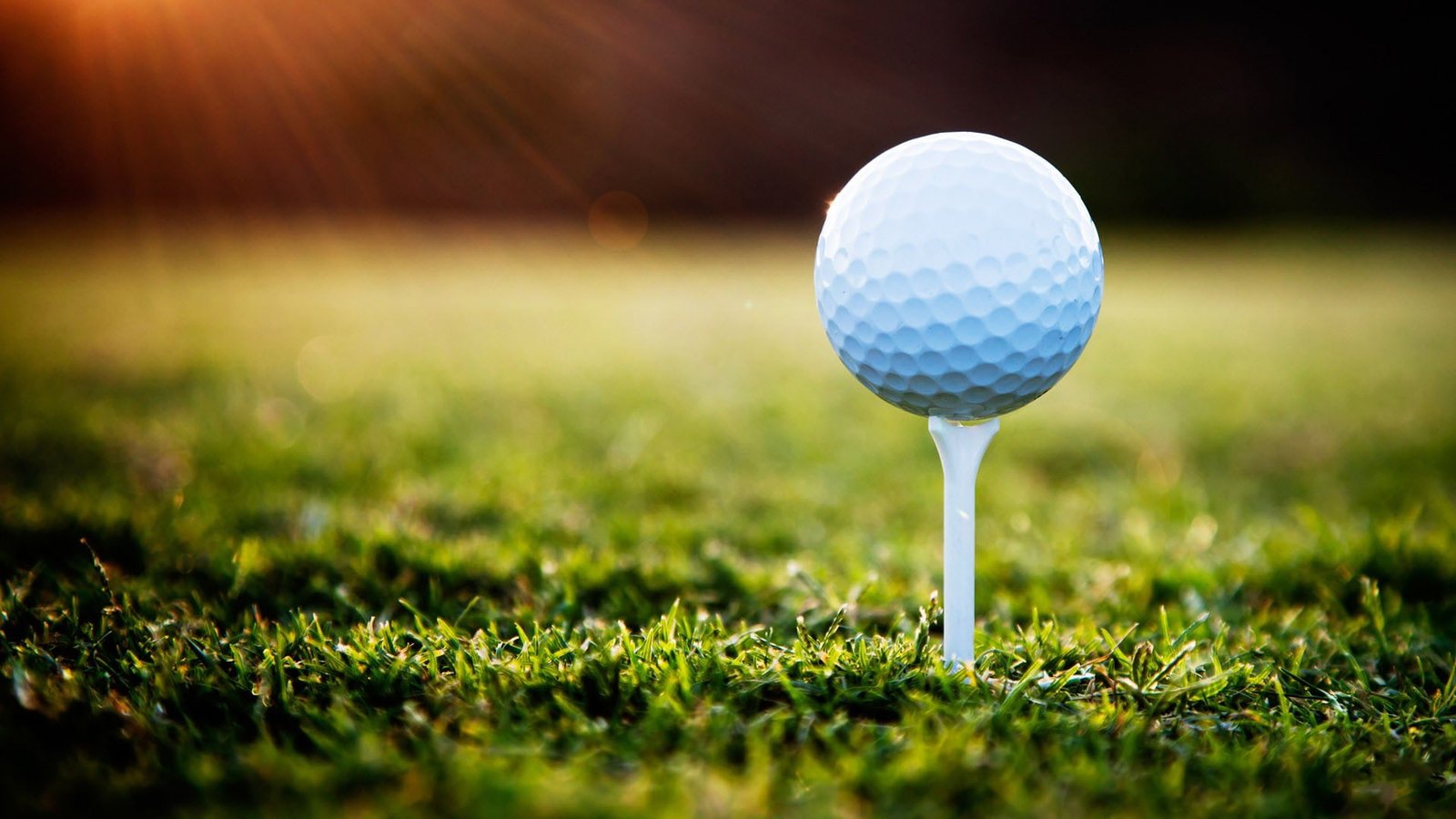 macro golf grass ball course sport leisure activity 2k