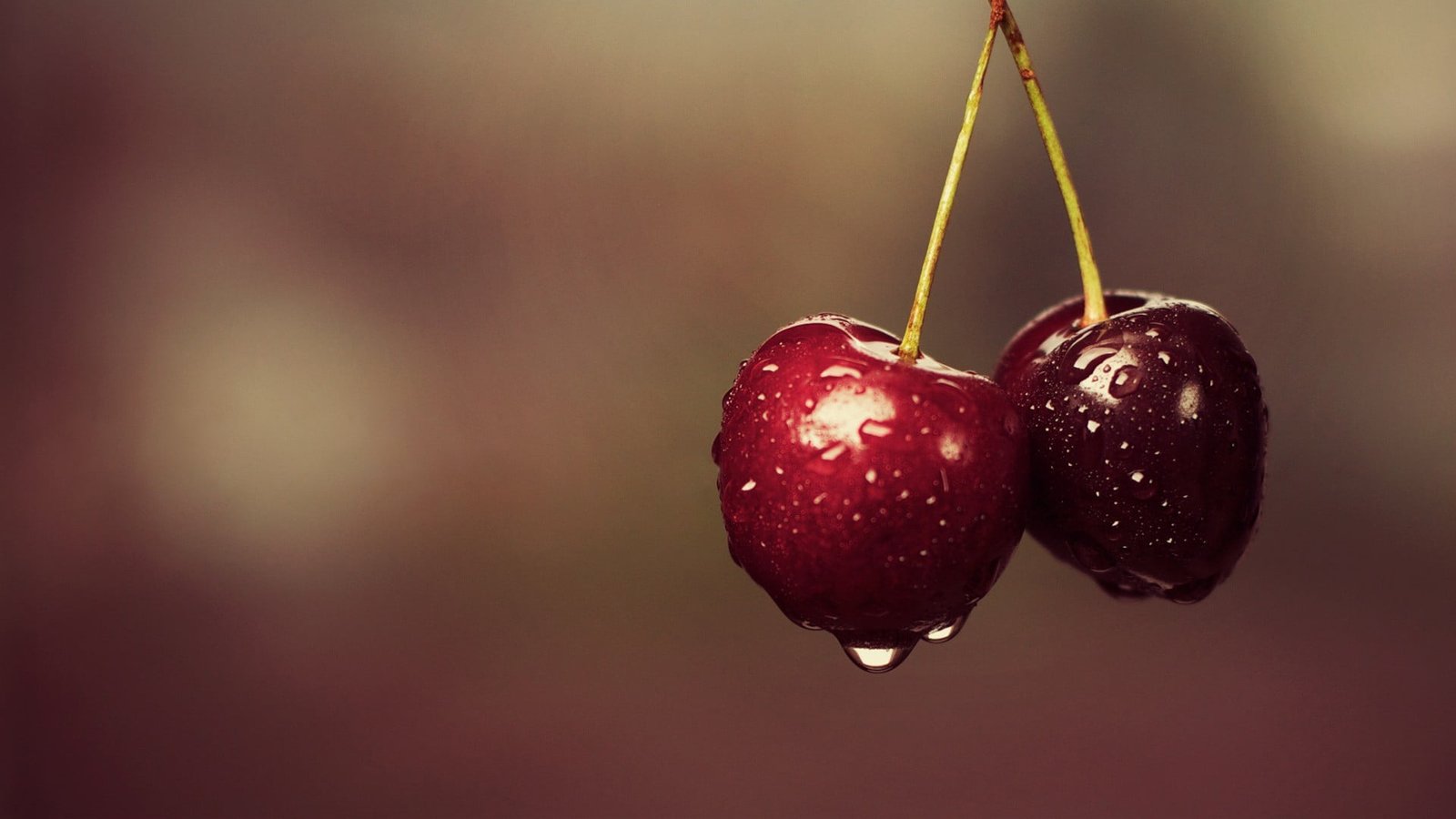 ripe cherries macro water drops fruit food and drink healthy eating 2k