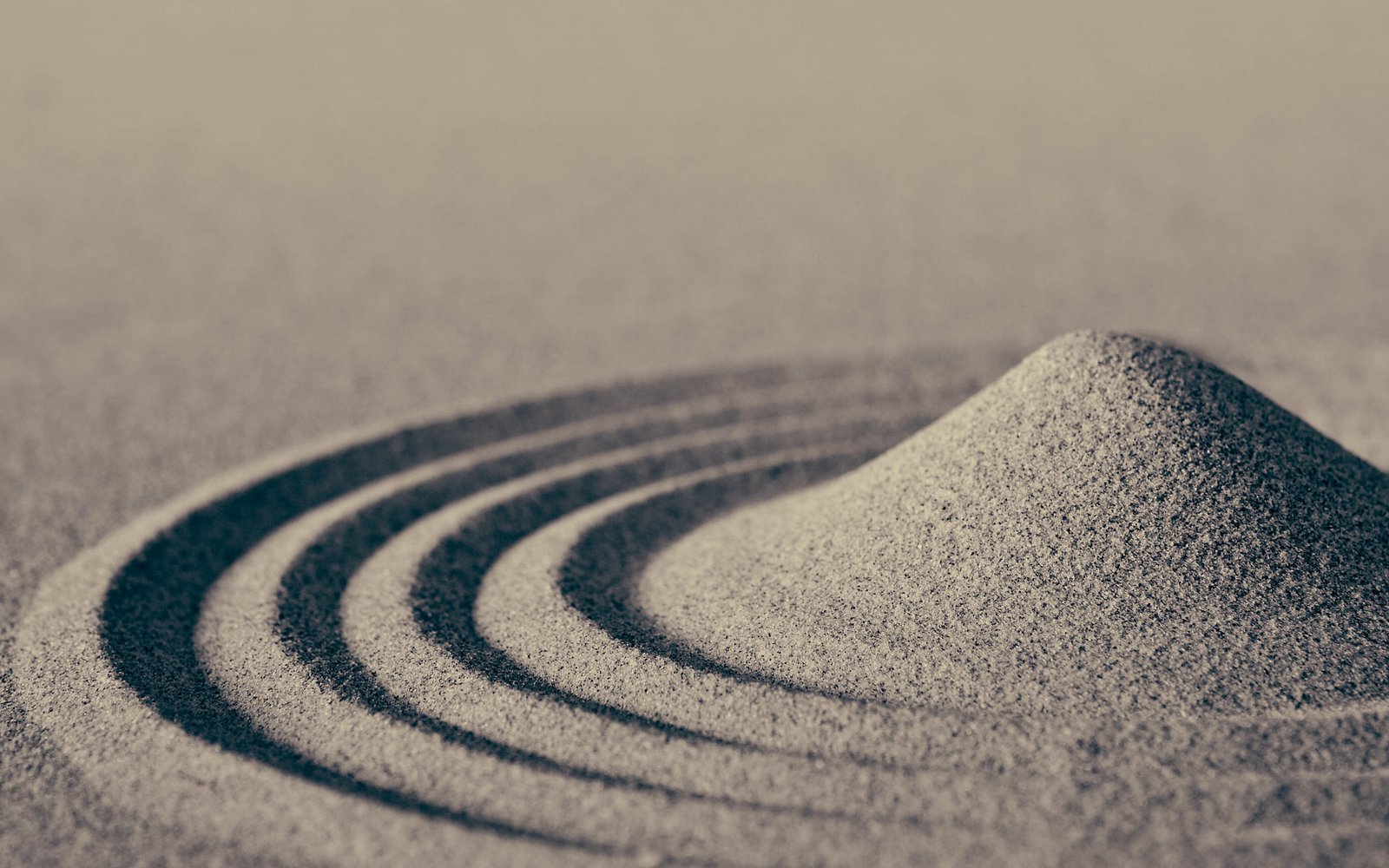 sand dune ripples macro nature beach rock Garden pebble 2k