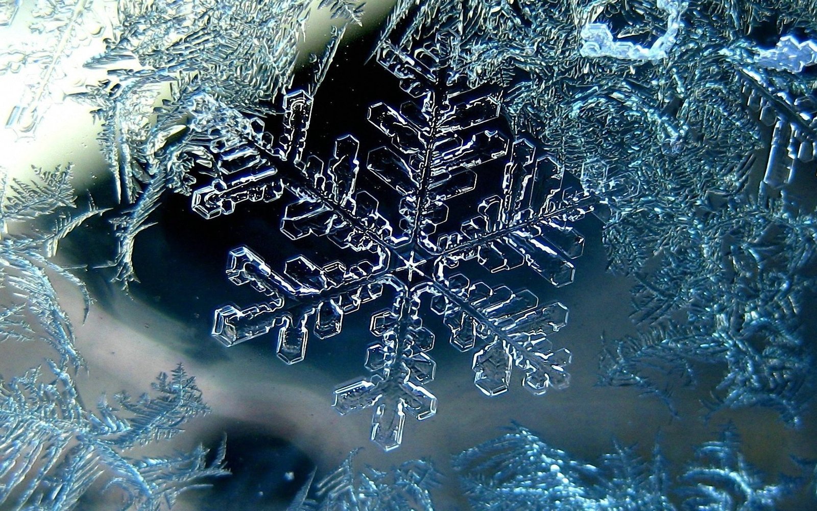 snowflake illustration winter macro ice christmas frost 2k