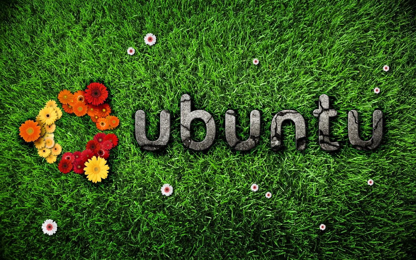 Ubuntu Nature Linux grass digital wallpaper Computers