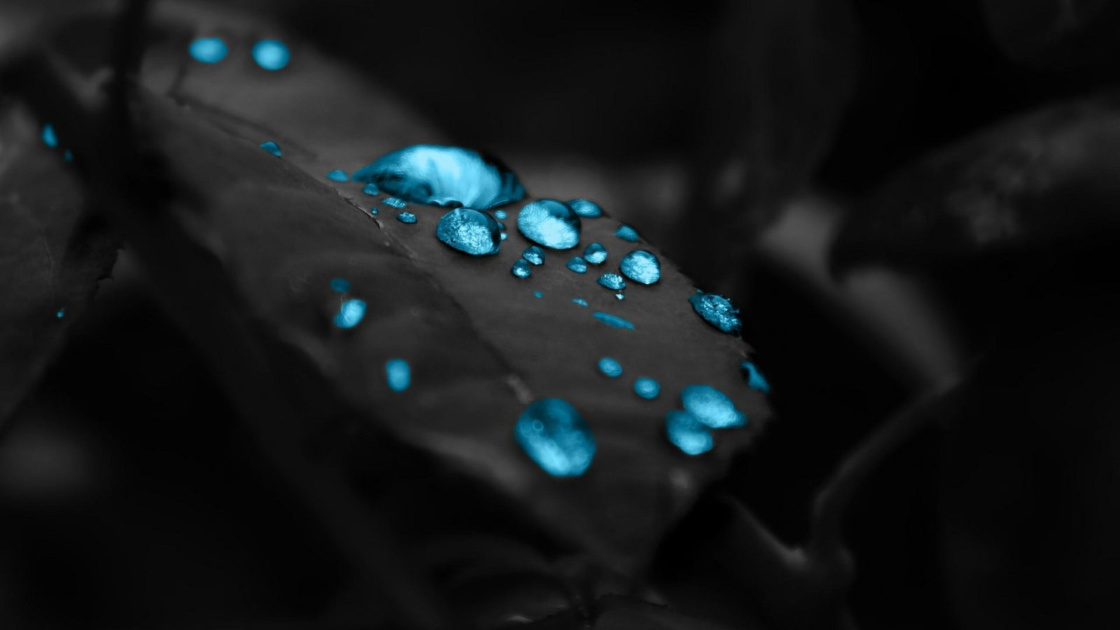 water macro photography close up drop turquoise darkness 2k