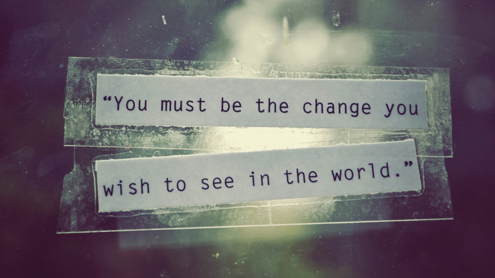 black text You must be the change you wish to see in world 2k