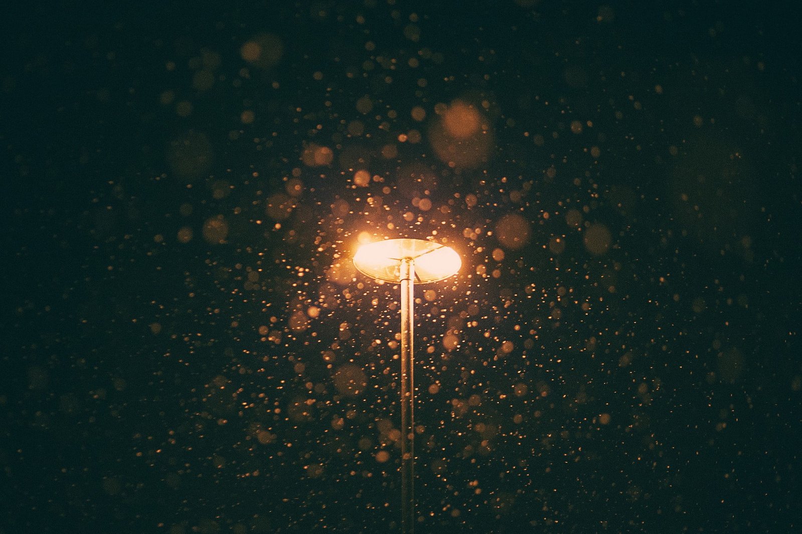 bokeh photography of park light lights city street illuminated 2k