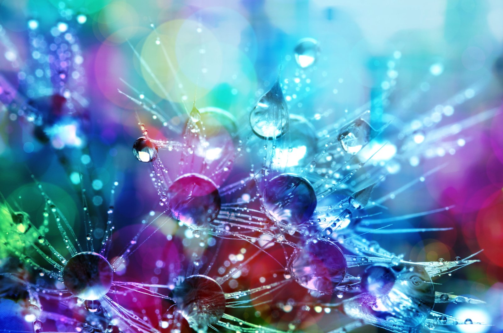 Bokeh Shot of Water Droplets blur blurred background bright 2k 4k 5k