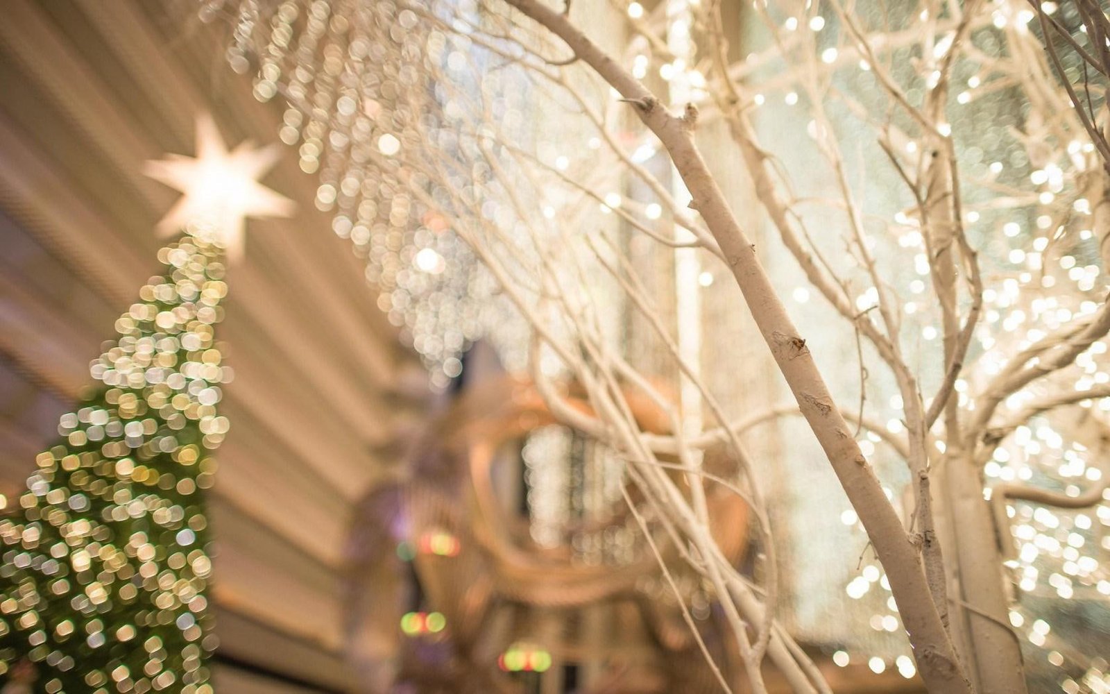 Christmas Tree San Francisco City Lights Bokeh 2k
