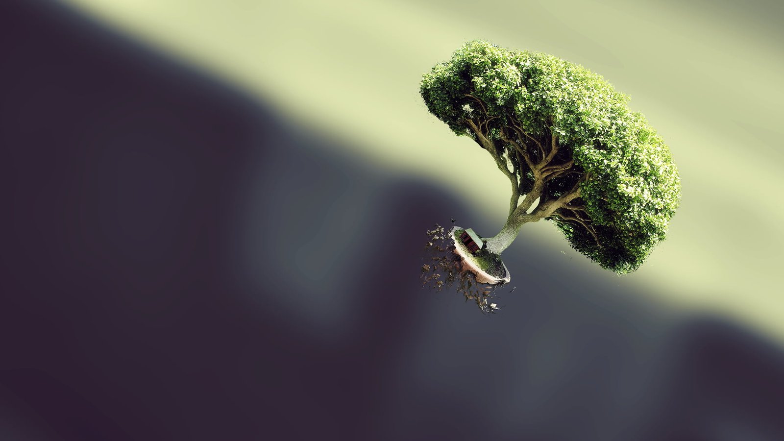 green and beige tree miniature trees bonsai floating simple background 2k