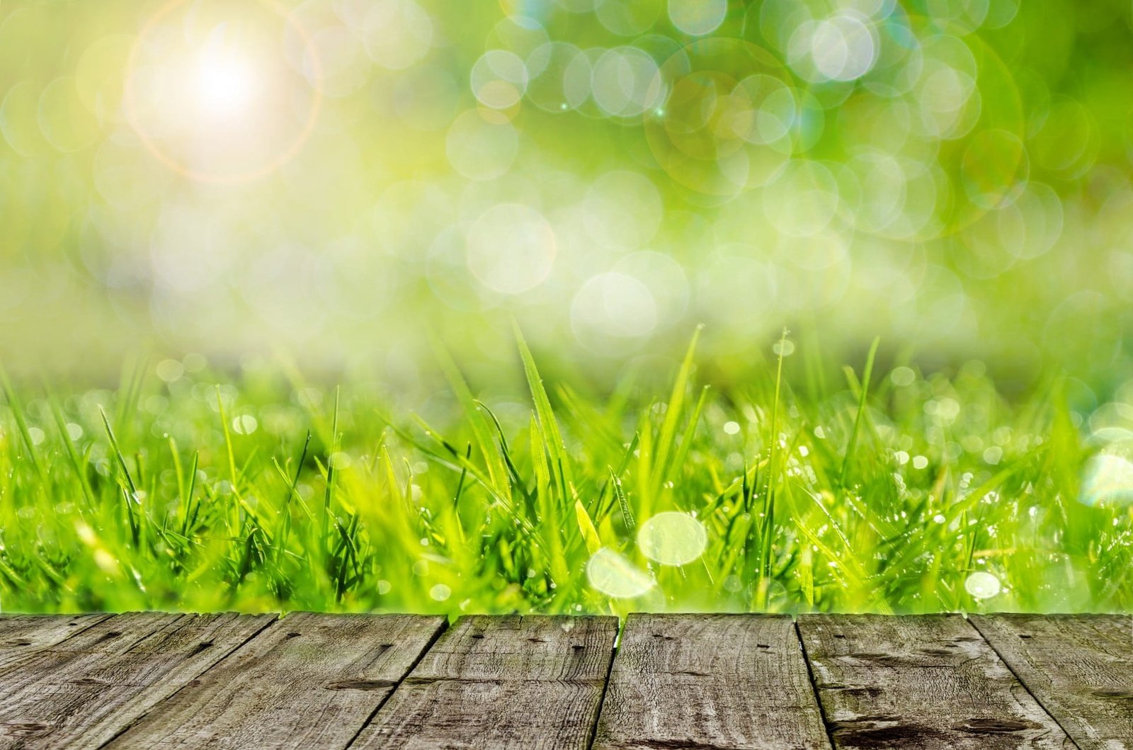 green grasses digital wallpaper background gardening spring 2k