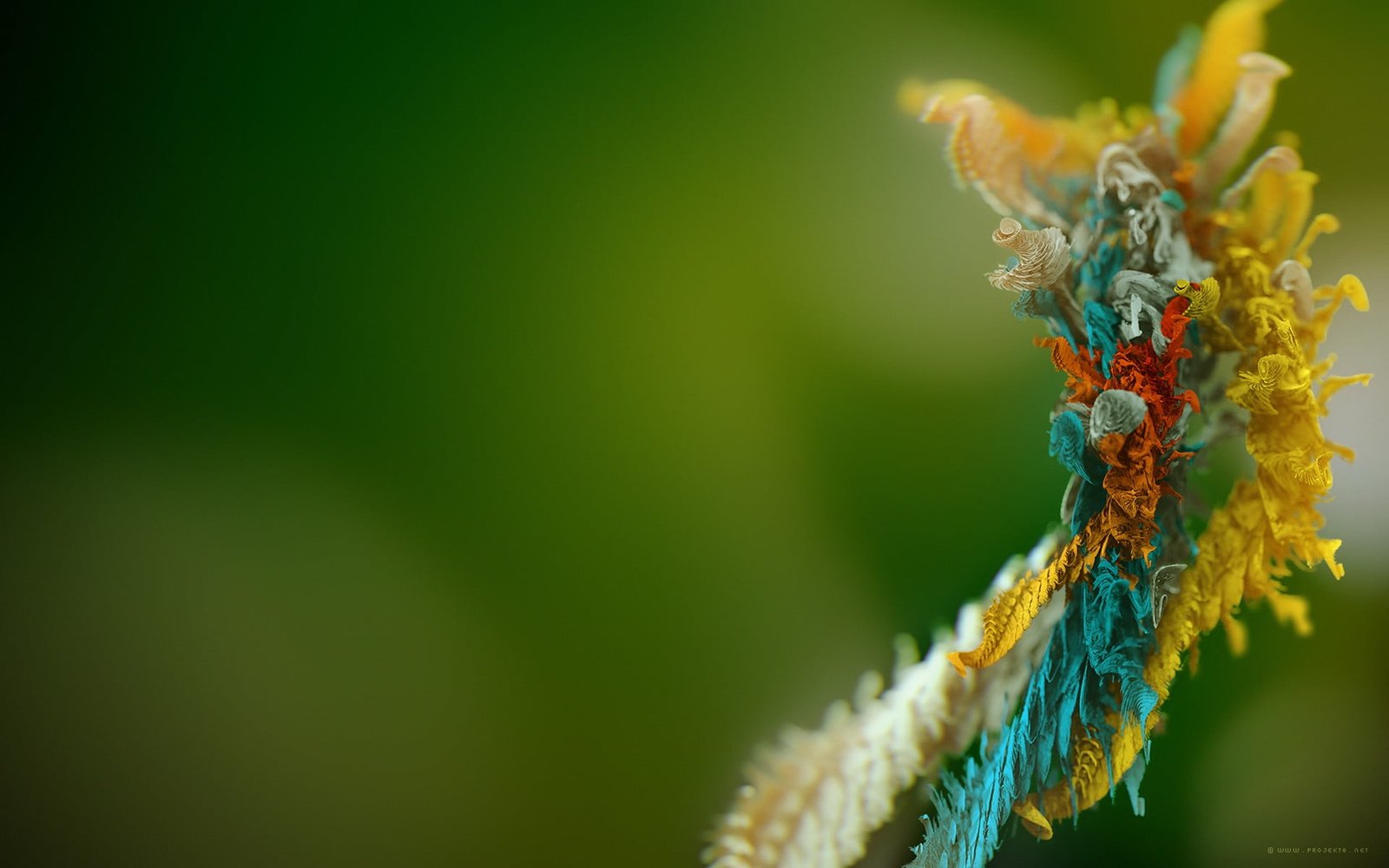 orange and green floral textile blurred depth of field nature 2k