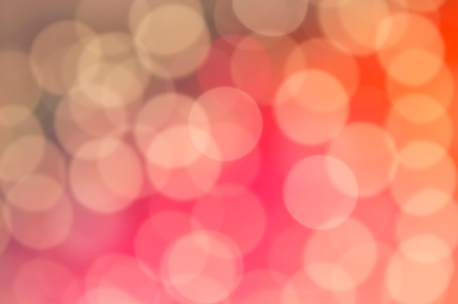 photo of pink and white light effects bokeh photography defocused 2k 4k 5k