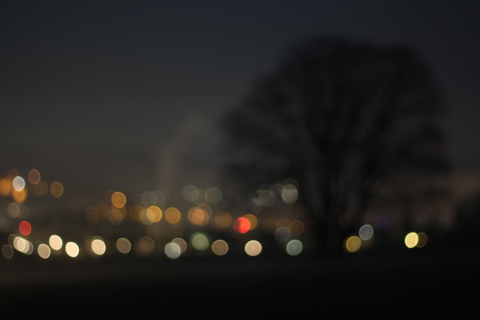 untitled bokeh tree night city out of focus dark aesthetic 2k 4k 5k