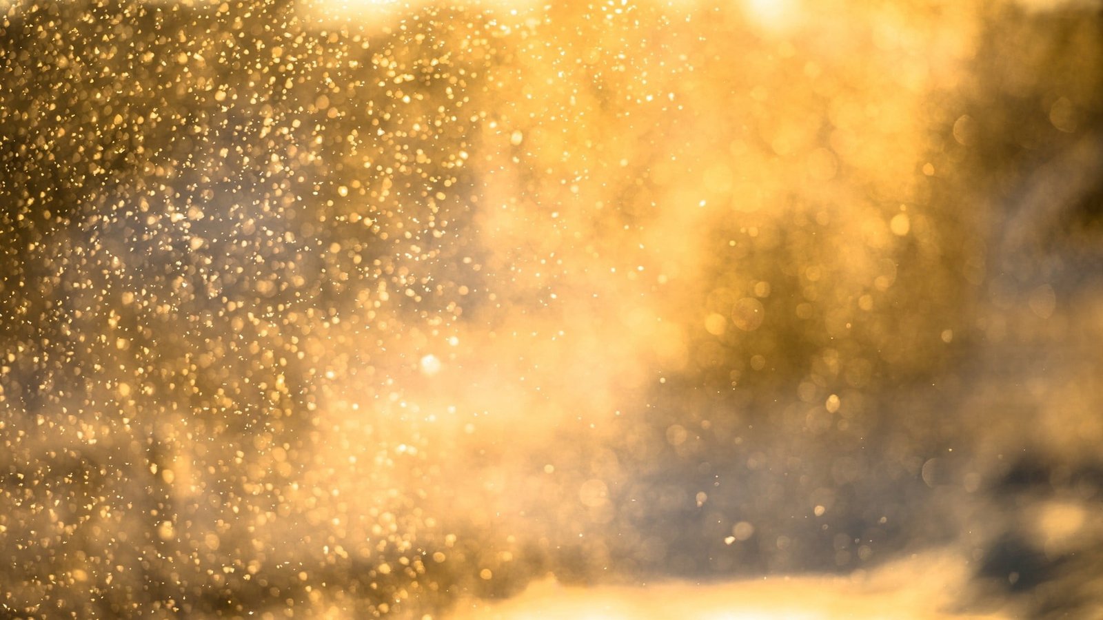 untitled water drops sunlight bokeh backgrounds nature winter 2k