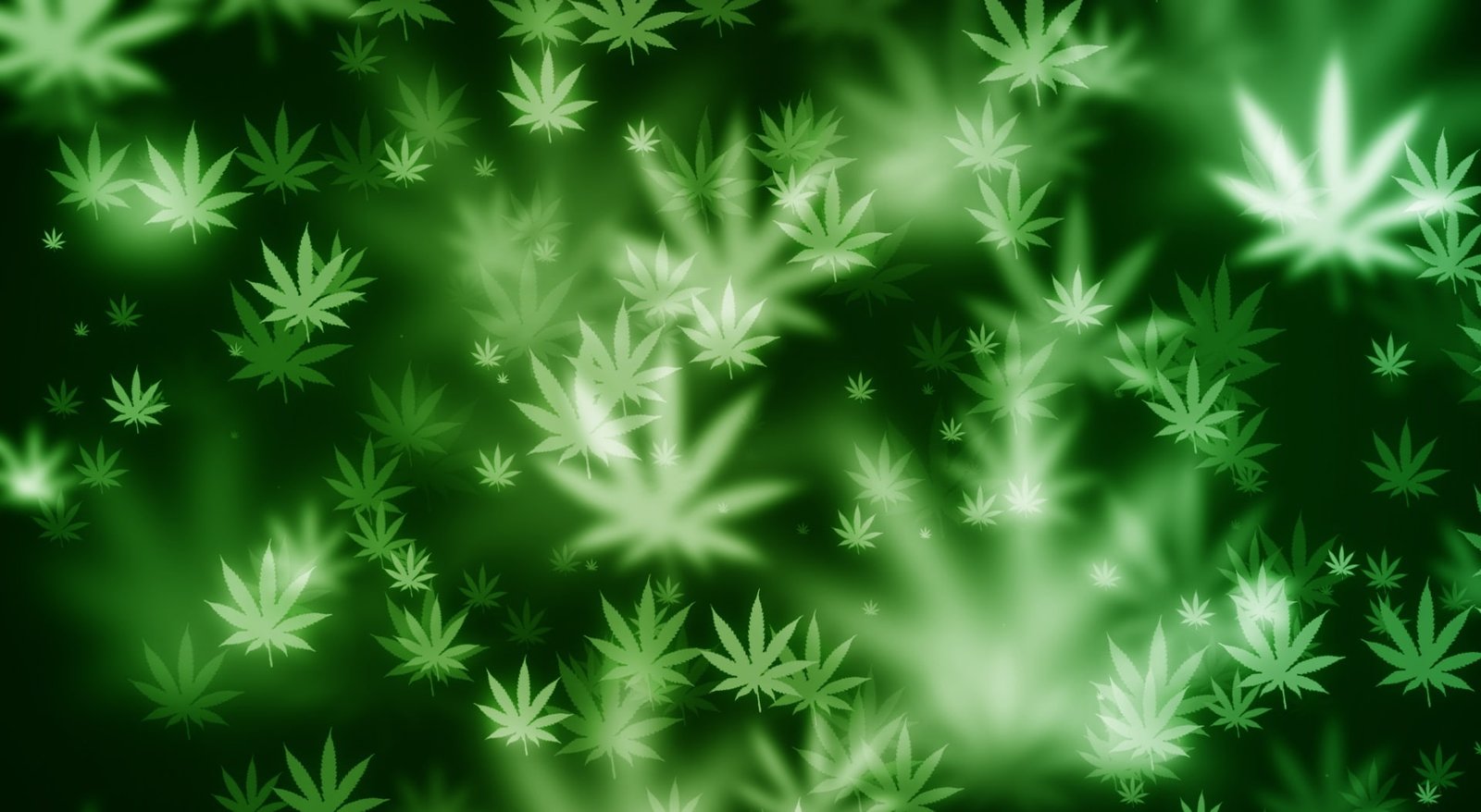 Weed Bokeh cannabis clipart Funny Green Artistic Background 2k