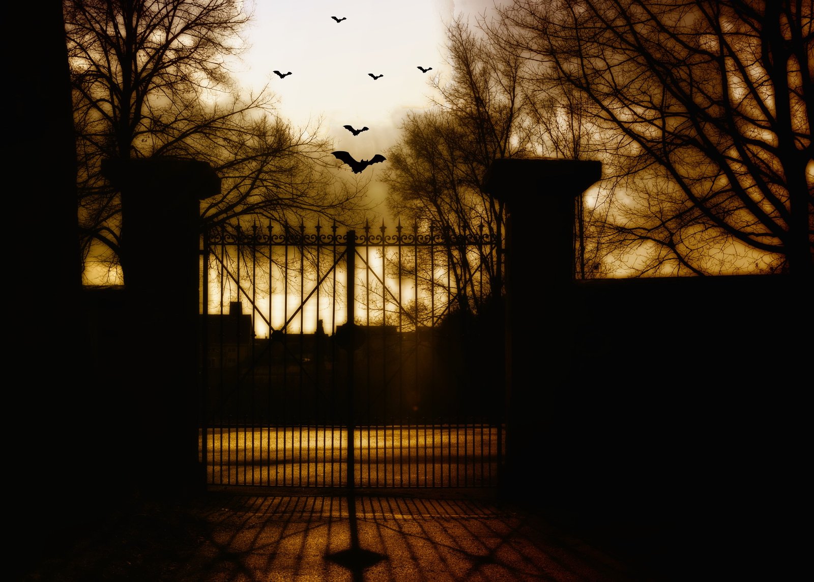 bats dark moon lights halloween weird darkness creepy 2k 4k 5k