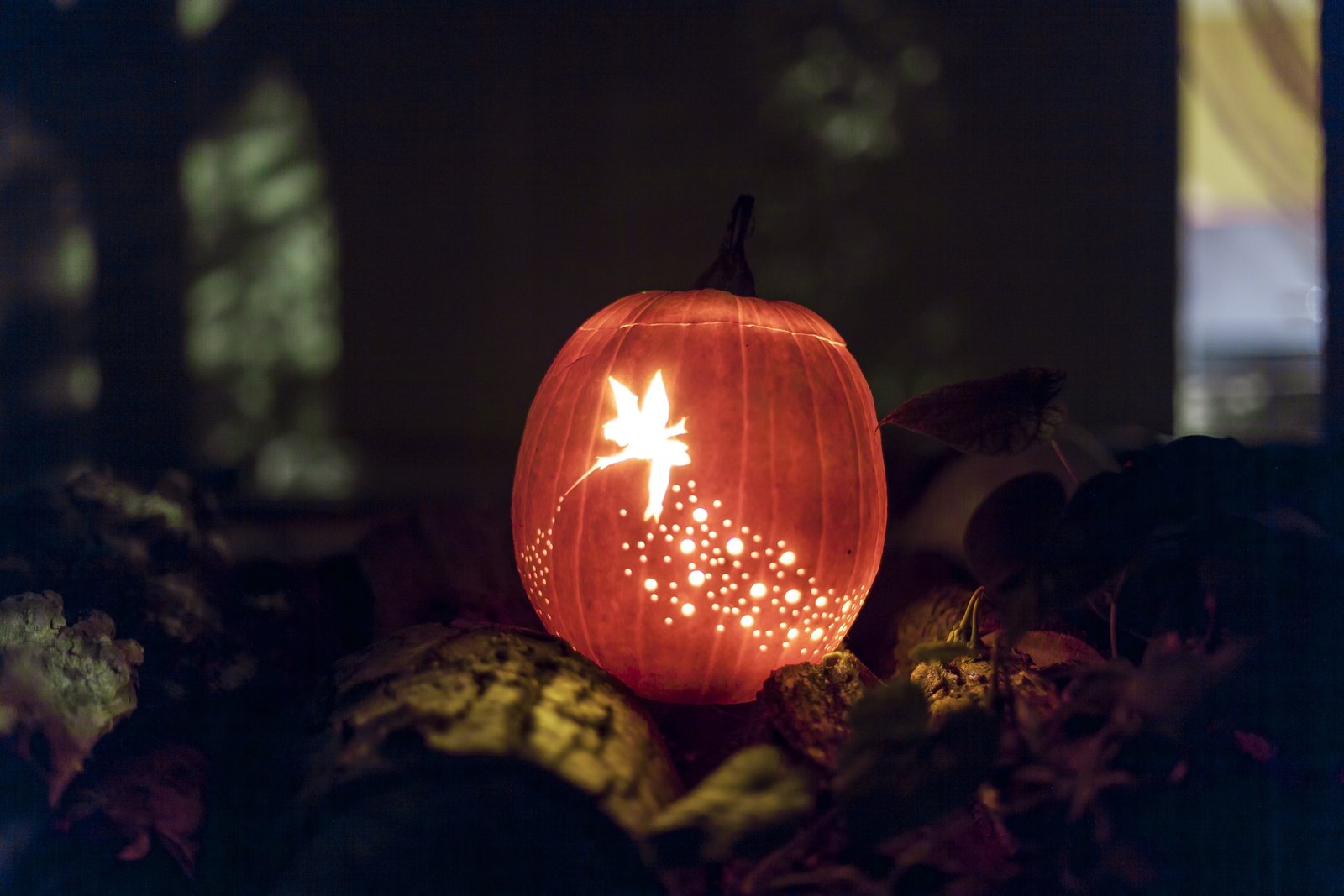 brown lighted pumpkin decor jack o lantern tinker bell fairy 2k 4k 5k