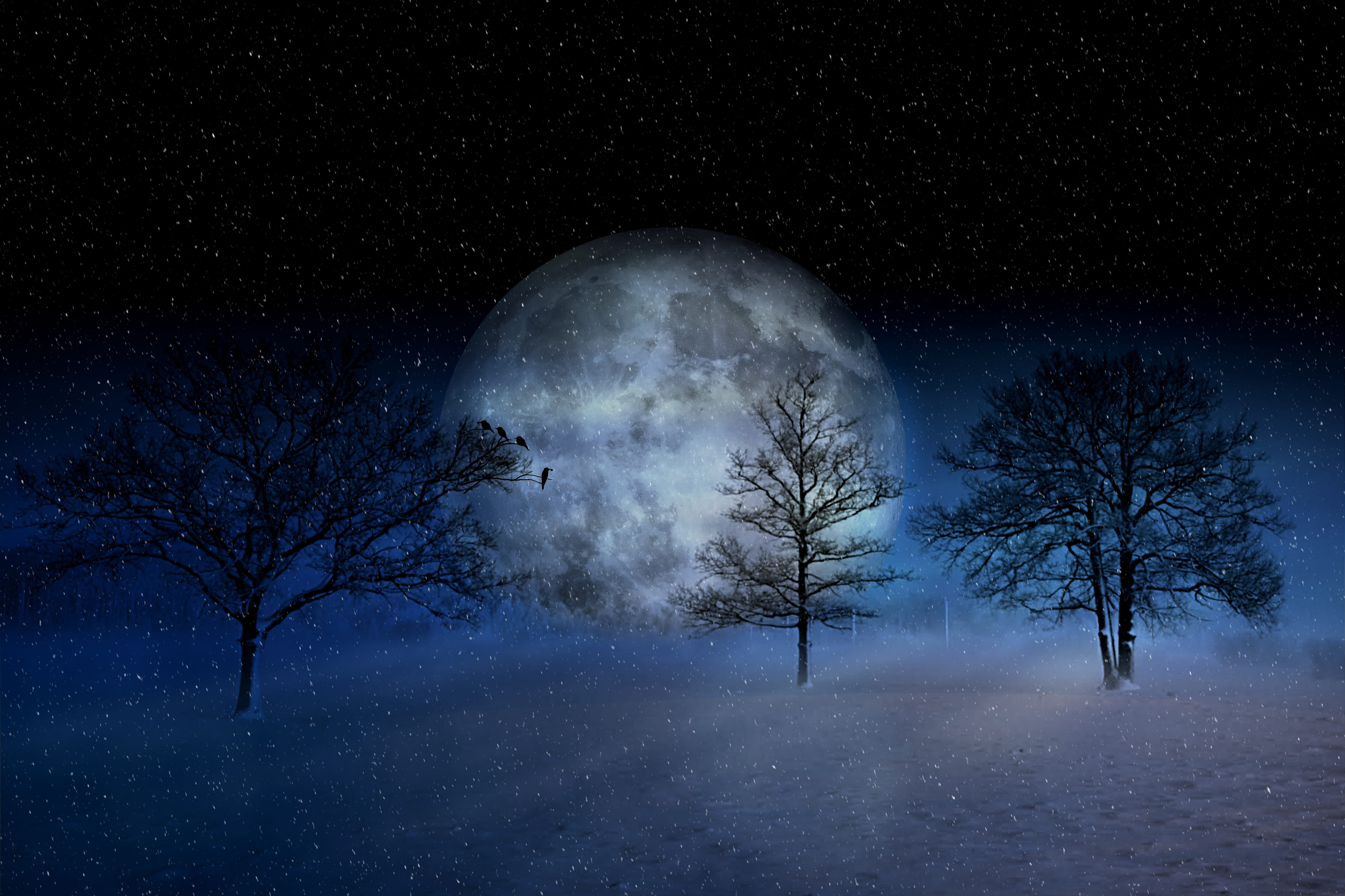 digital artwork of full moon and trees winter wintry christmas 2k 4k 5k