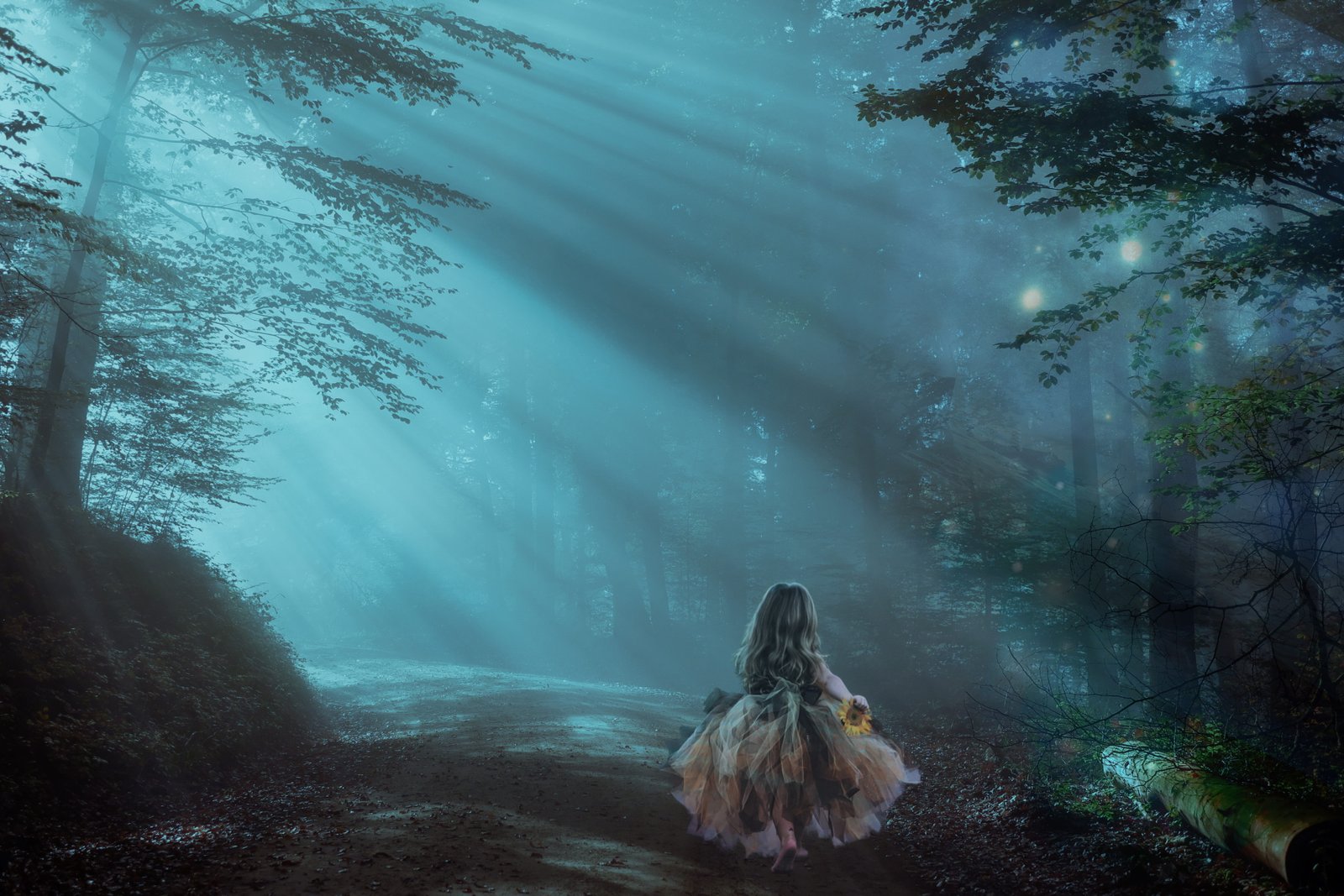 forest night fantasy trees light mystery mystic magic 2k 4k 5k