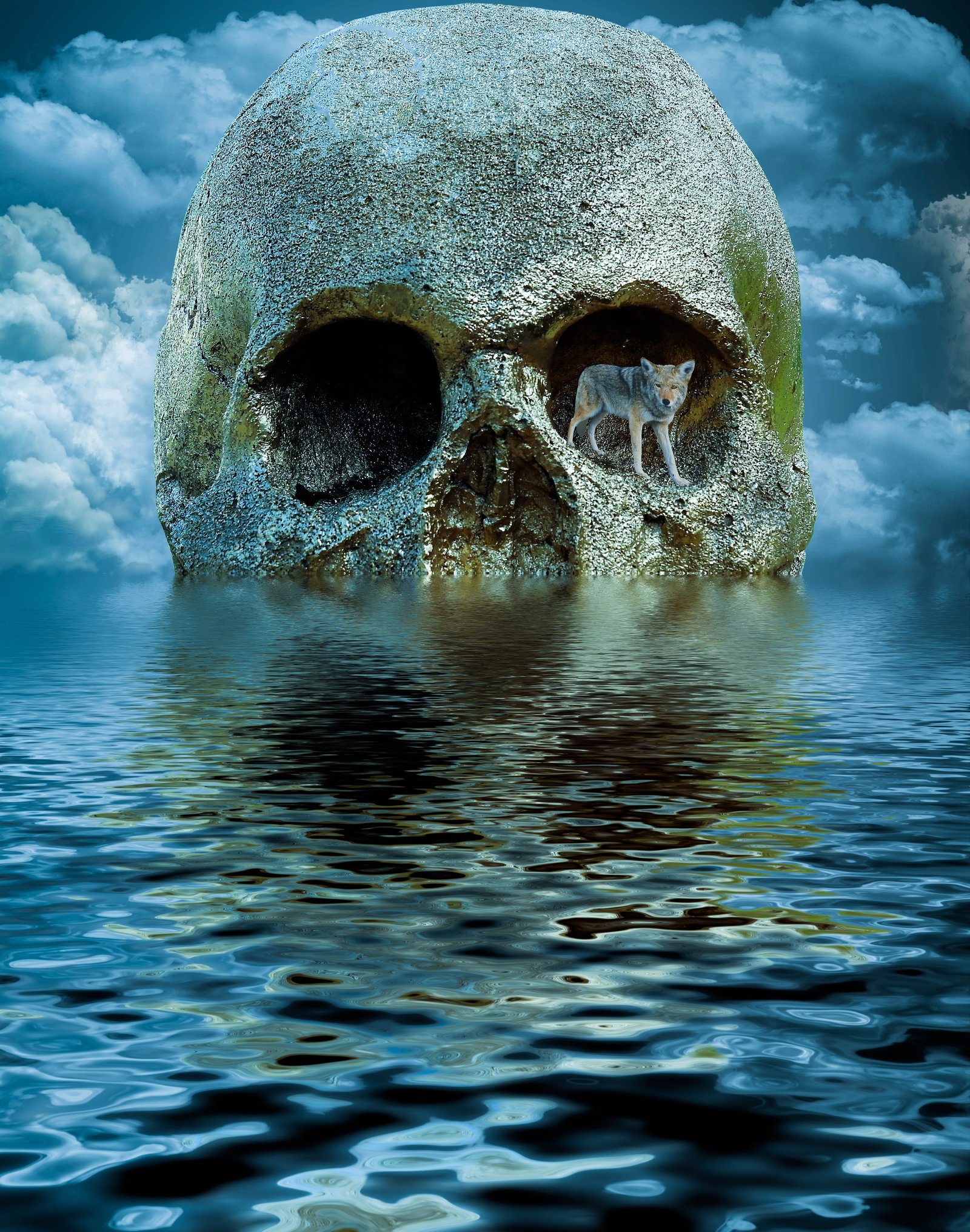 gray and beige wolf standing in left eye socket of skull on body water digital wallpaper 2k 4k 5k