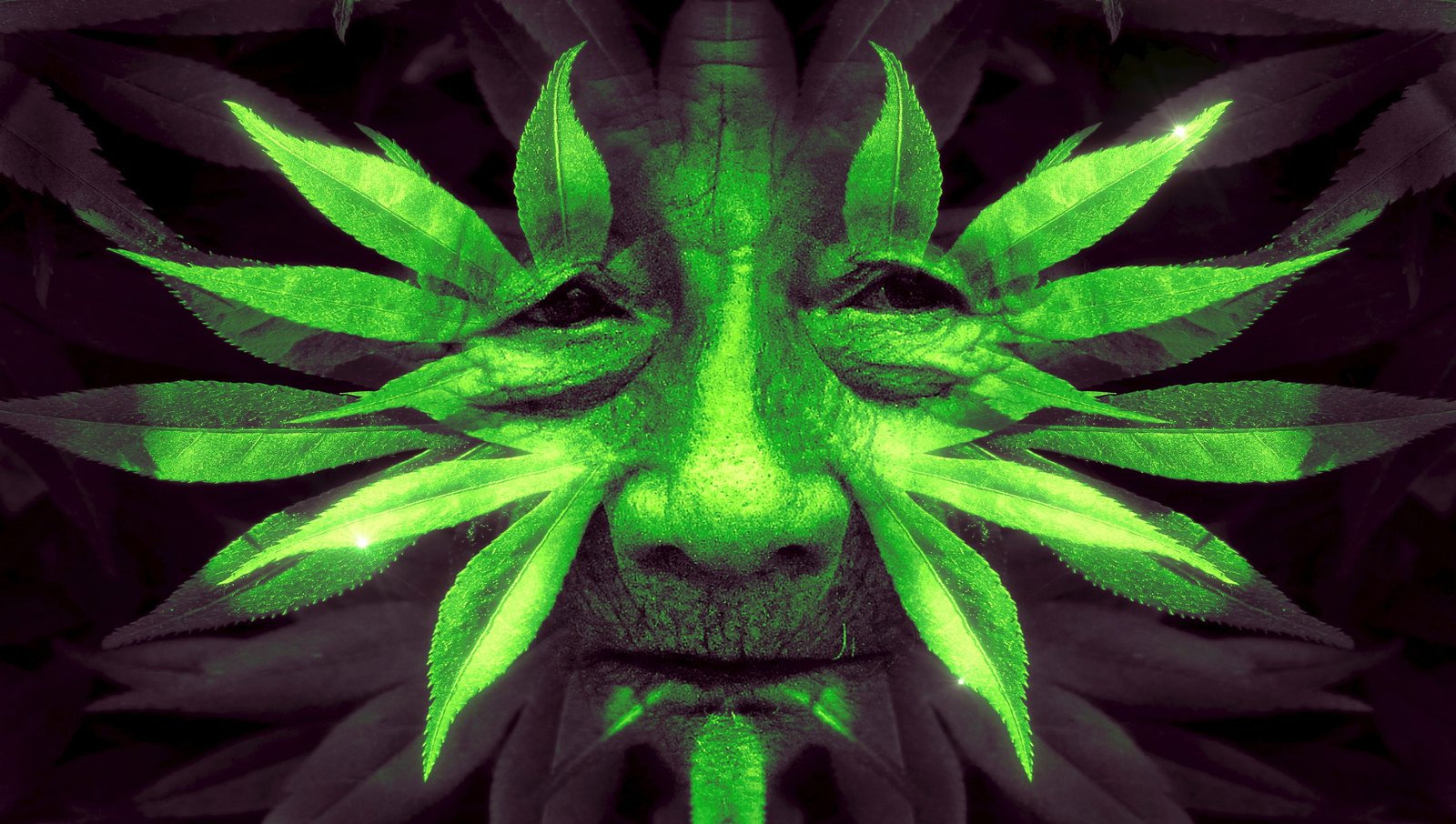 man face wallpaper fantasy leaves green human nature portrait 2k 4k 5k