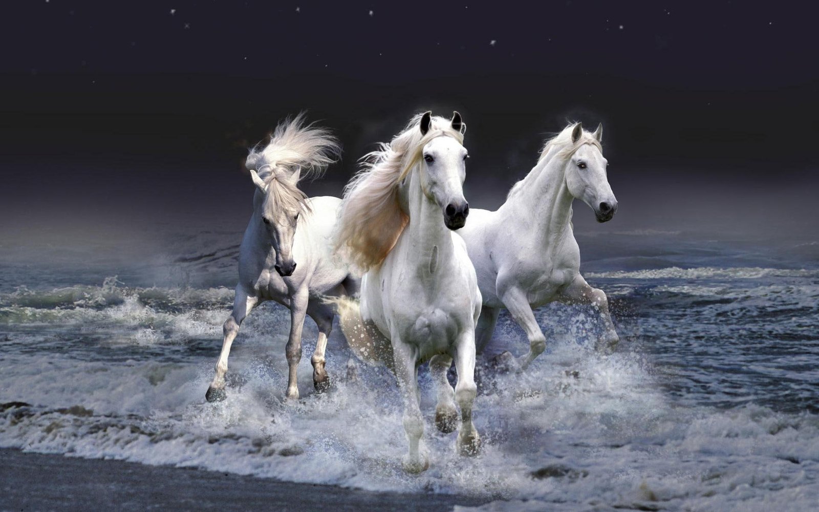 Mystic Horses animals and birds 2k