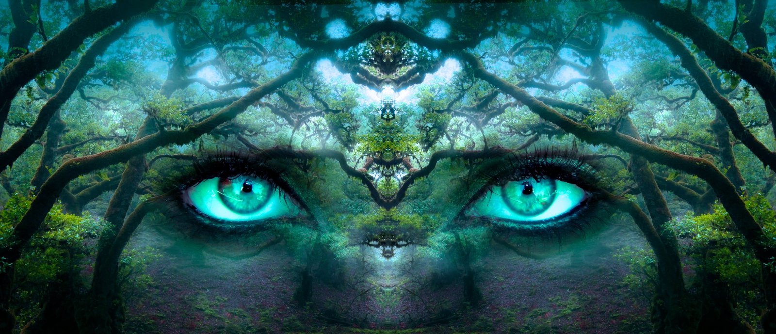 nature eye portrait painting fantasy eyes forest aesthetic 38 2k 4k 5k