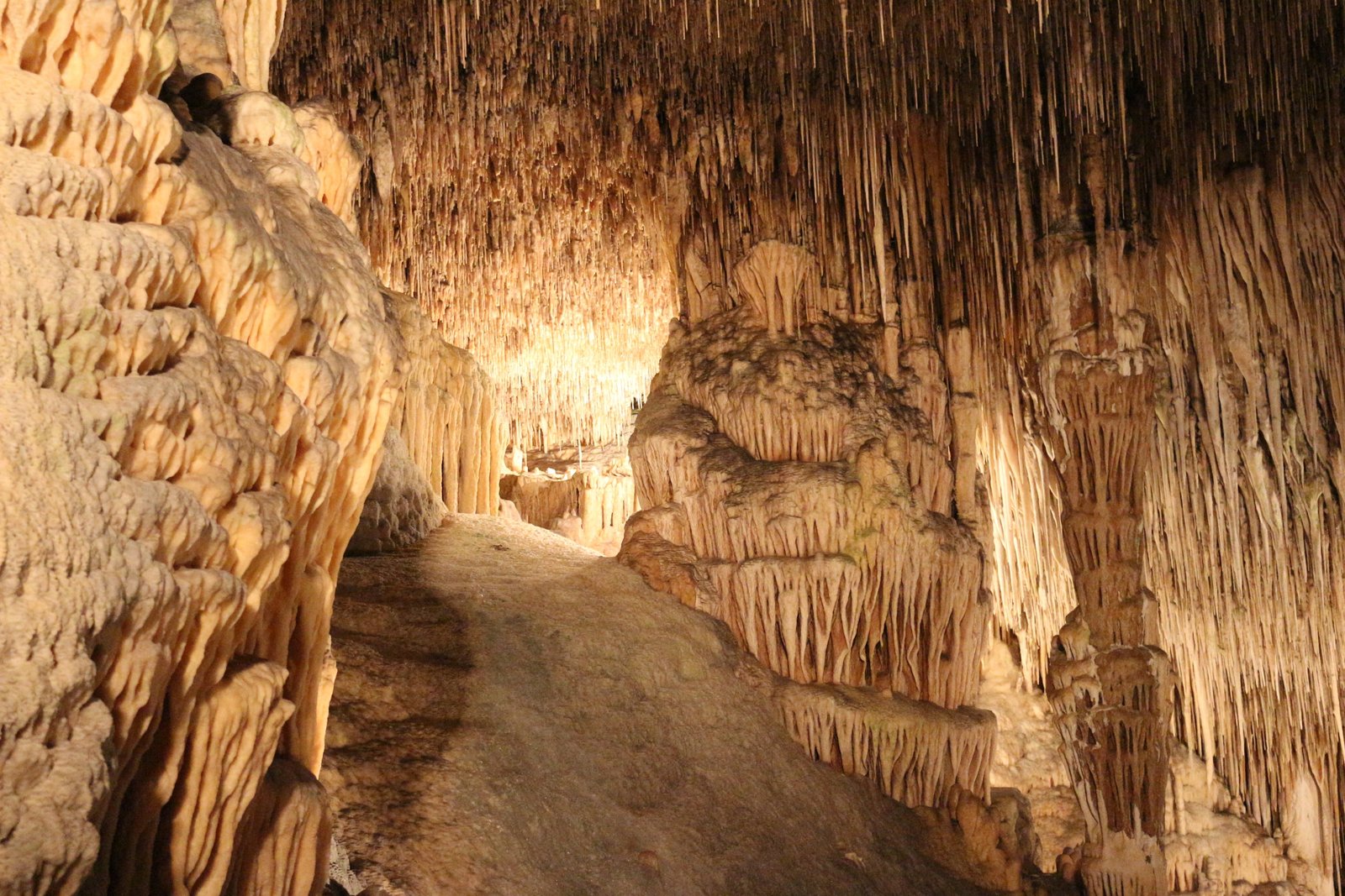 photo of brown cave stalactites stalactite dragon s lair 2k 4k 5k