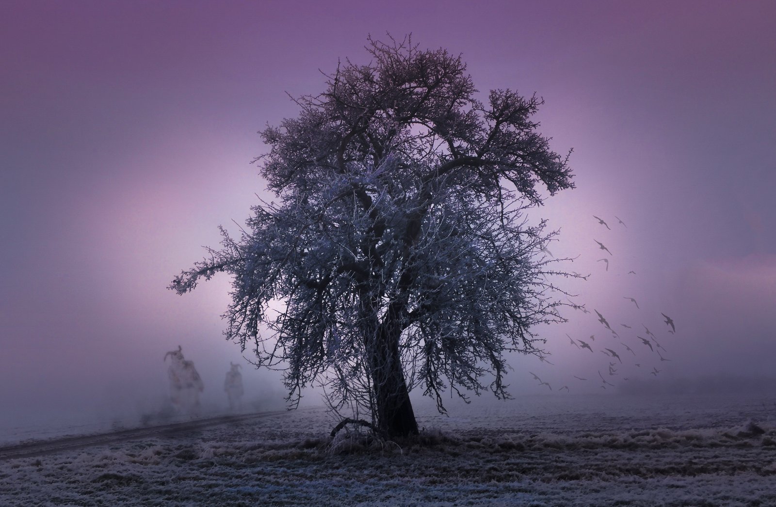 photo of brown tree halloween twelfth night spirit creepy 2k