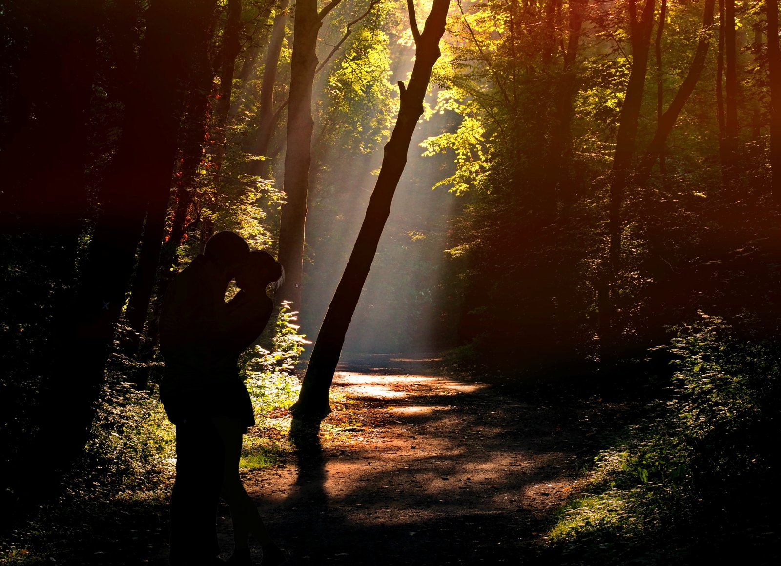 silhouette of man and woman near trees pair lovers forest 2k 4k