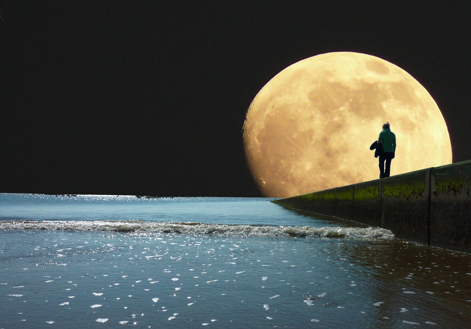 silhouette person staring at the full moon sea evening night 2k