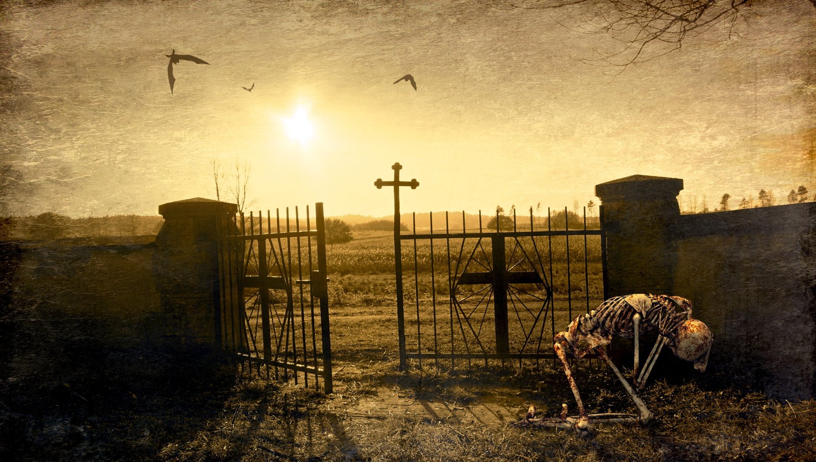 skeleton near open gate fantasy cemetery input cross light 2k 4k 5k